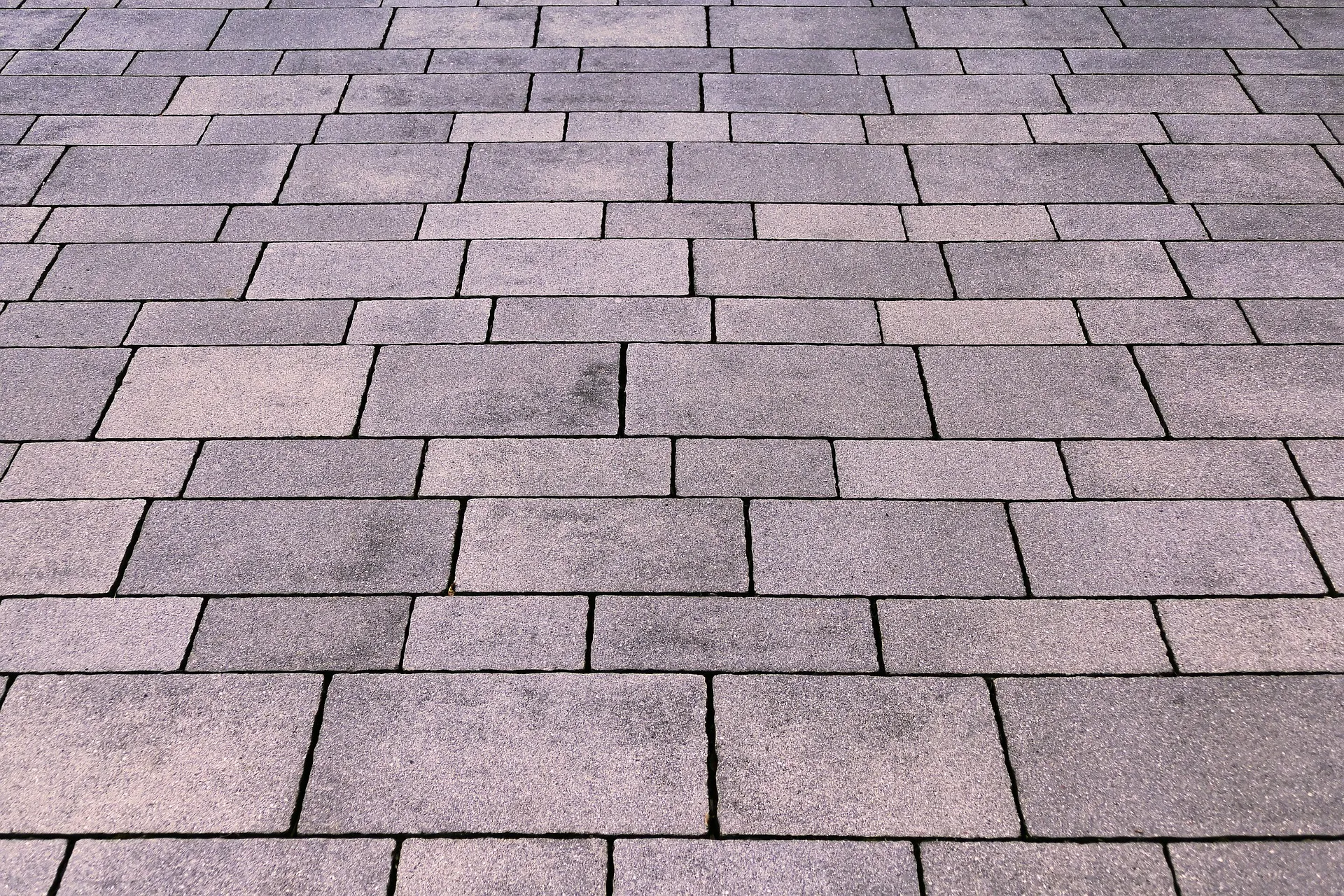 pavement 3199578 1920