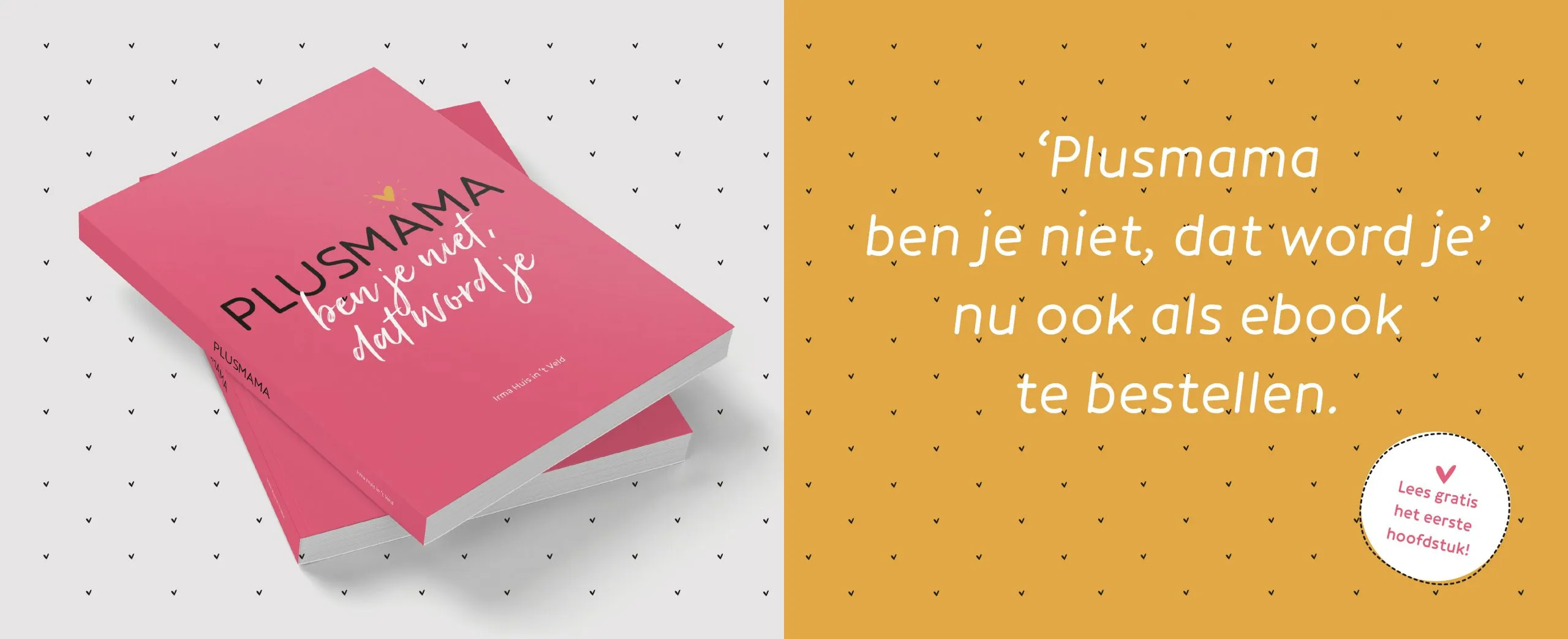 plus banners boek 1300x530 ebook scaled 1
