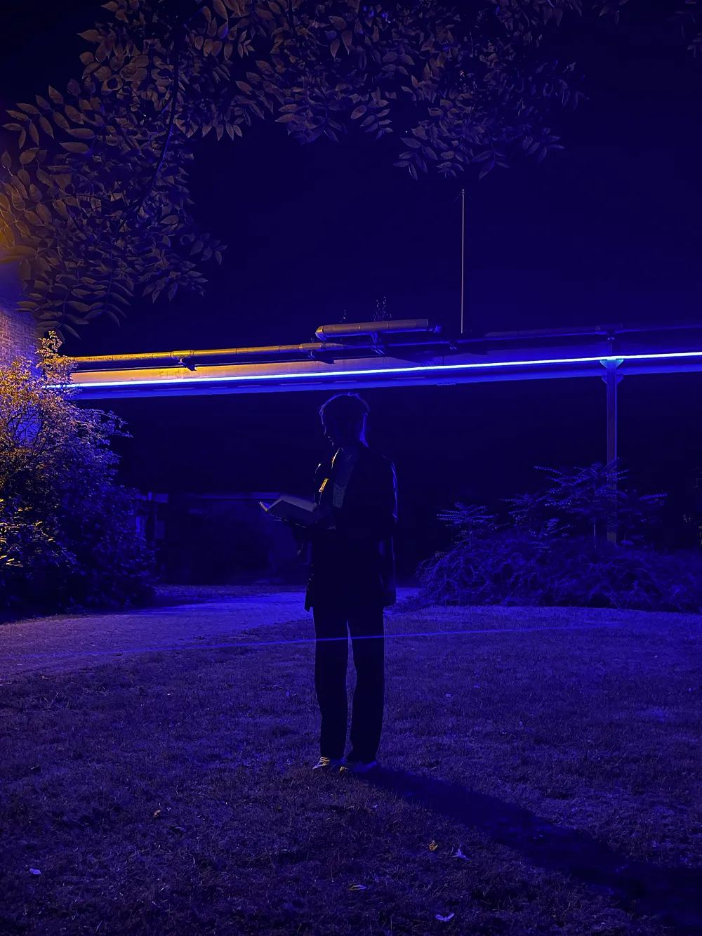 puck fusers bij de omwentelaars rechtenvrij2