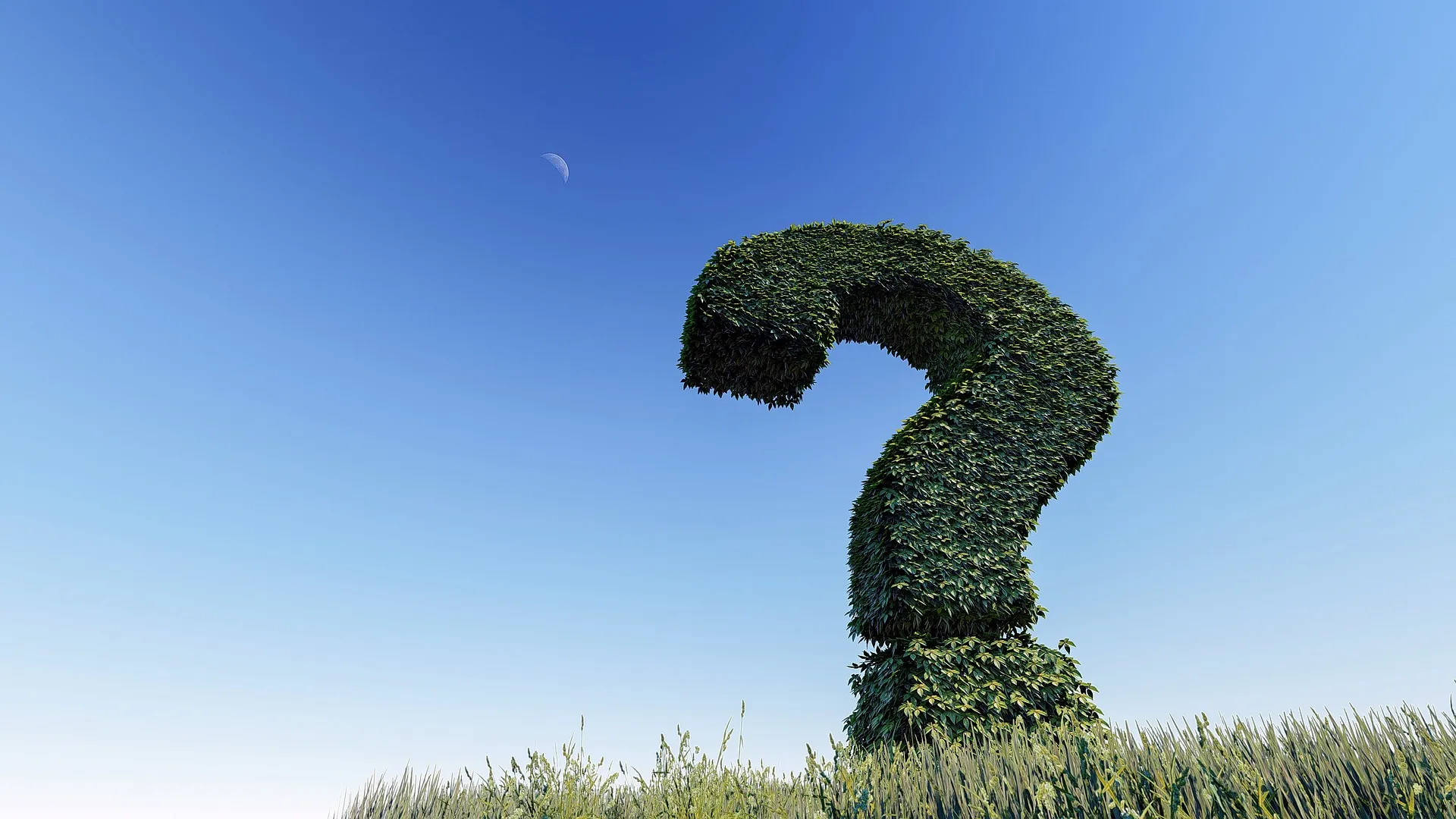 question mark 3255118 1920