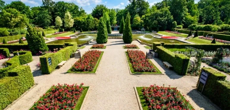 screenshot 20240706 082004 google