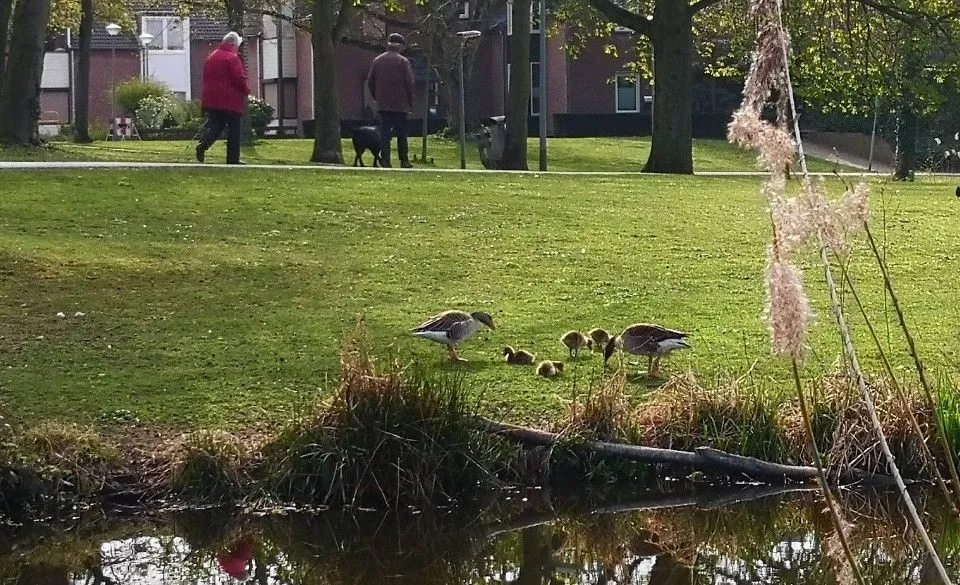 screenshot 20240721 234534 photos