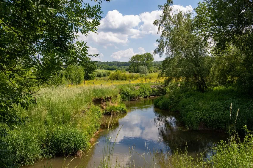 sfgll stockfoto limburgse geul foto jo stolp pixabay
