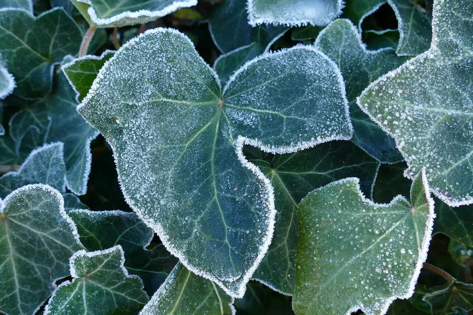 sheet g15b7a9250 1920