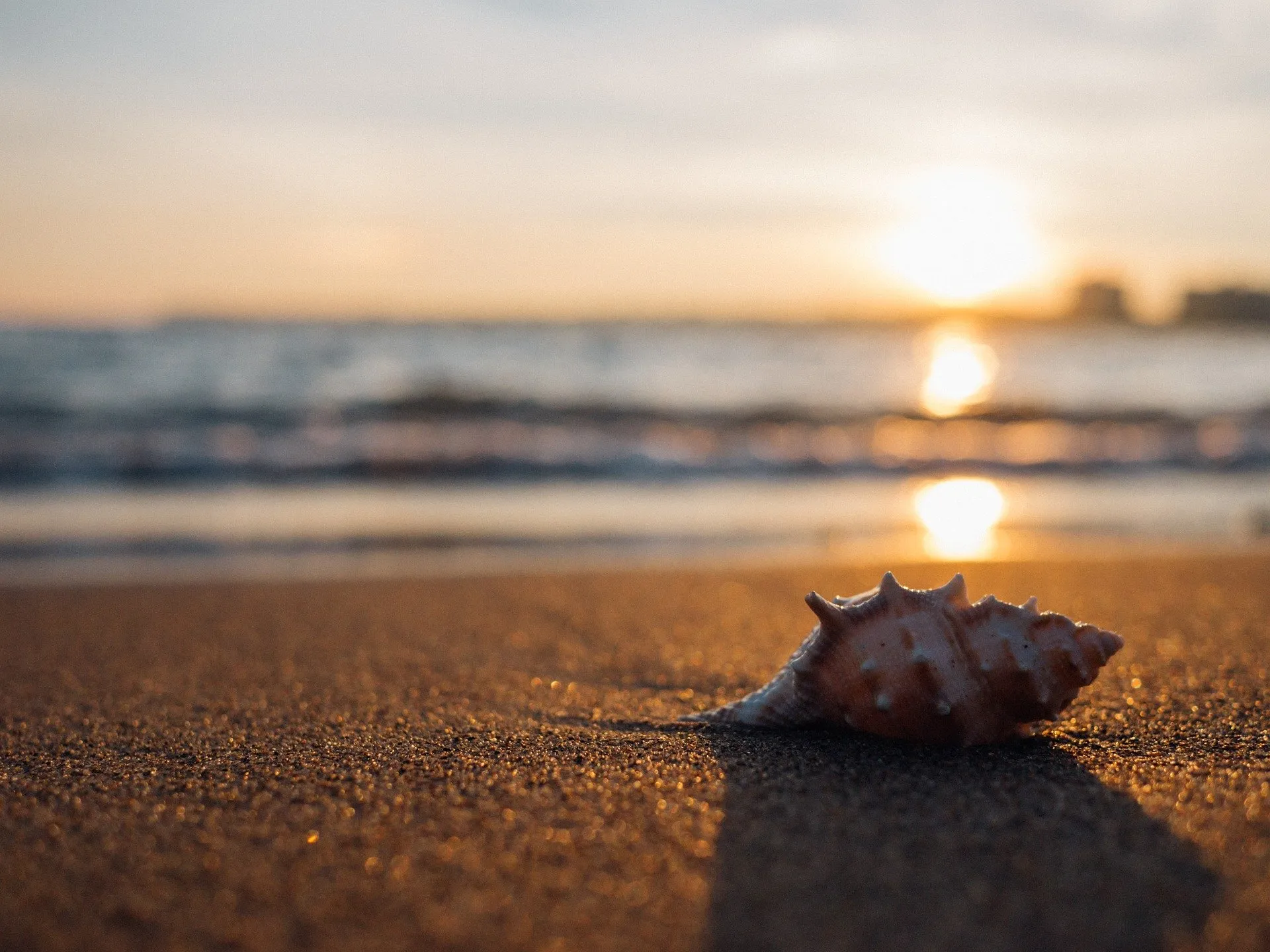 shell 1031290 1920