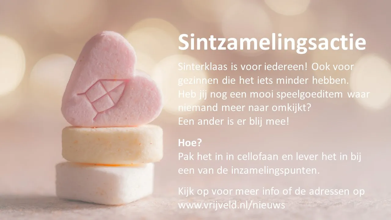 sintzamelingsactie1