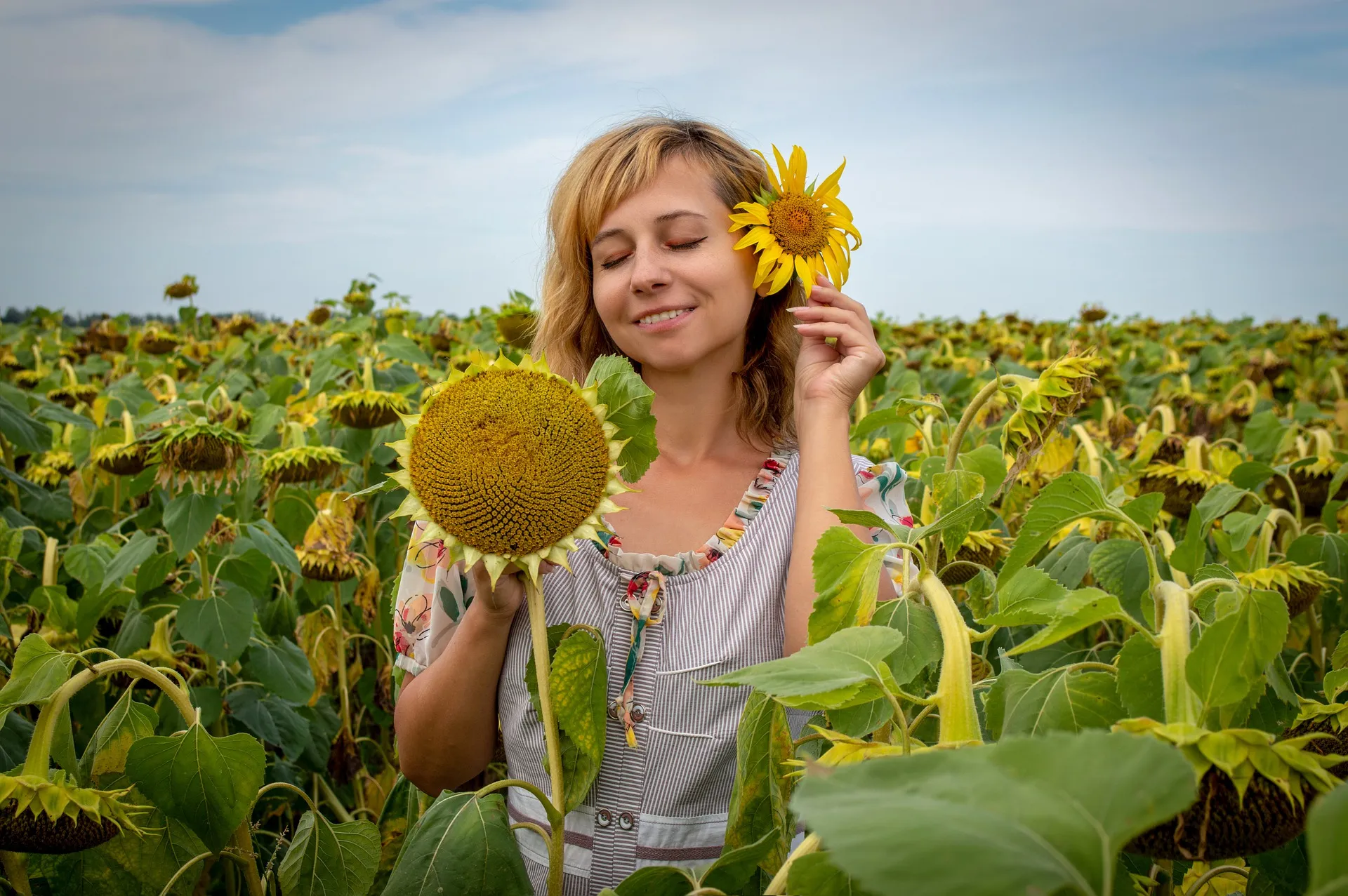 sunflower 7391916 1920