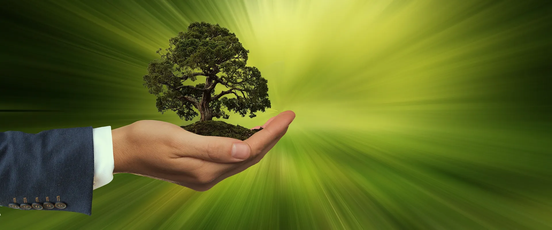 sustainability 3303398 1920