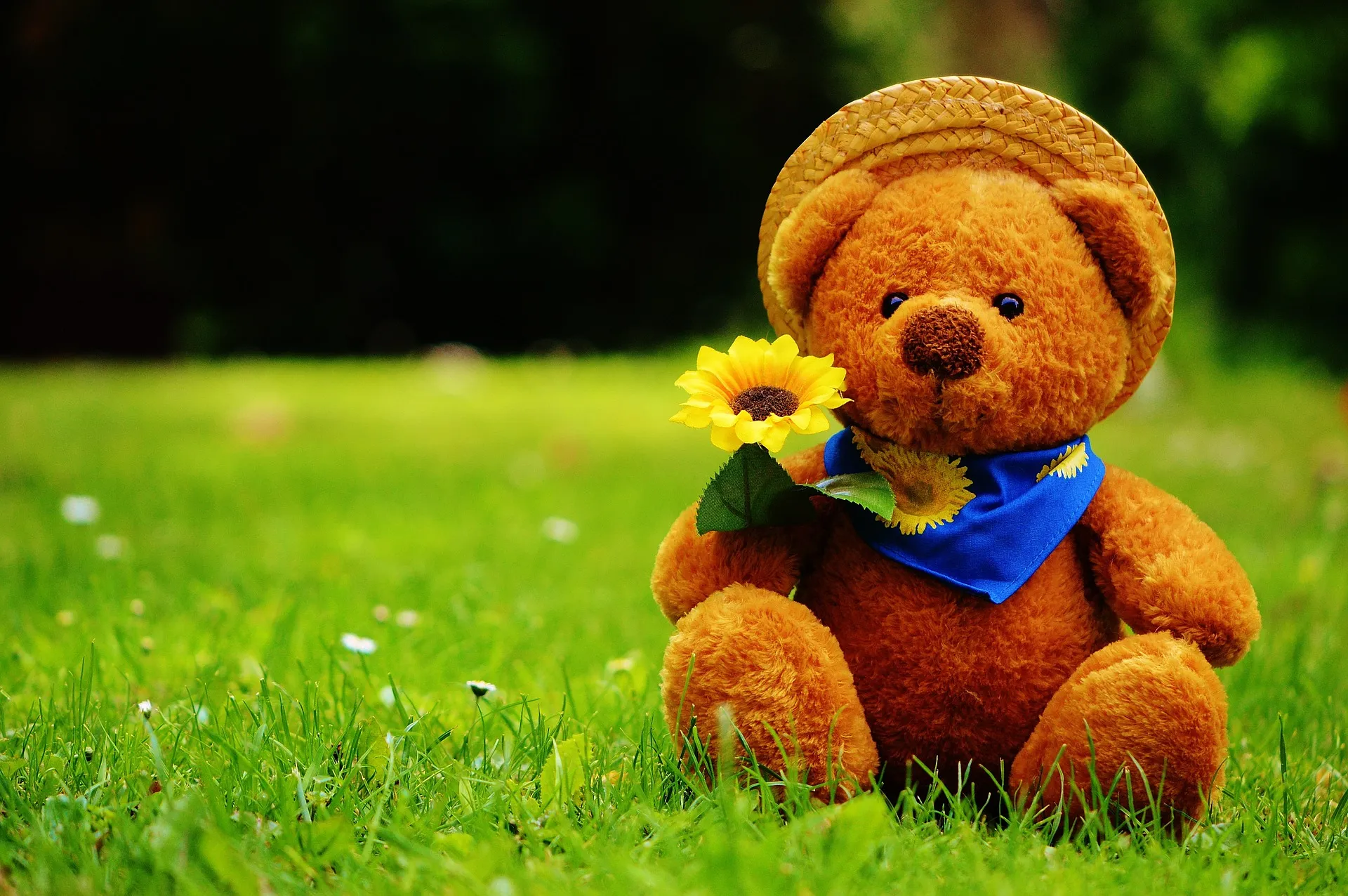 teddy bear 792273 1920