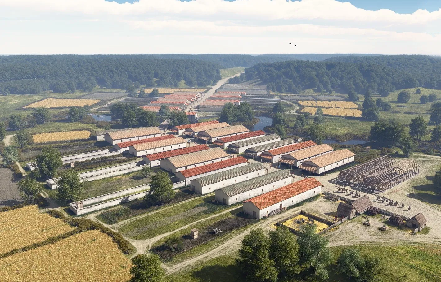 tekening mikko kriek