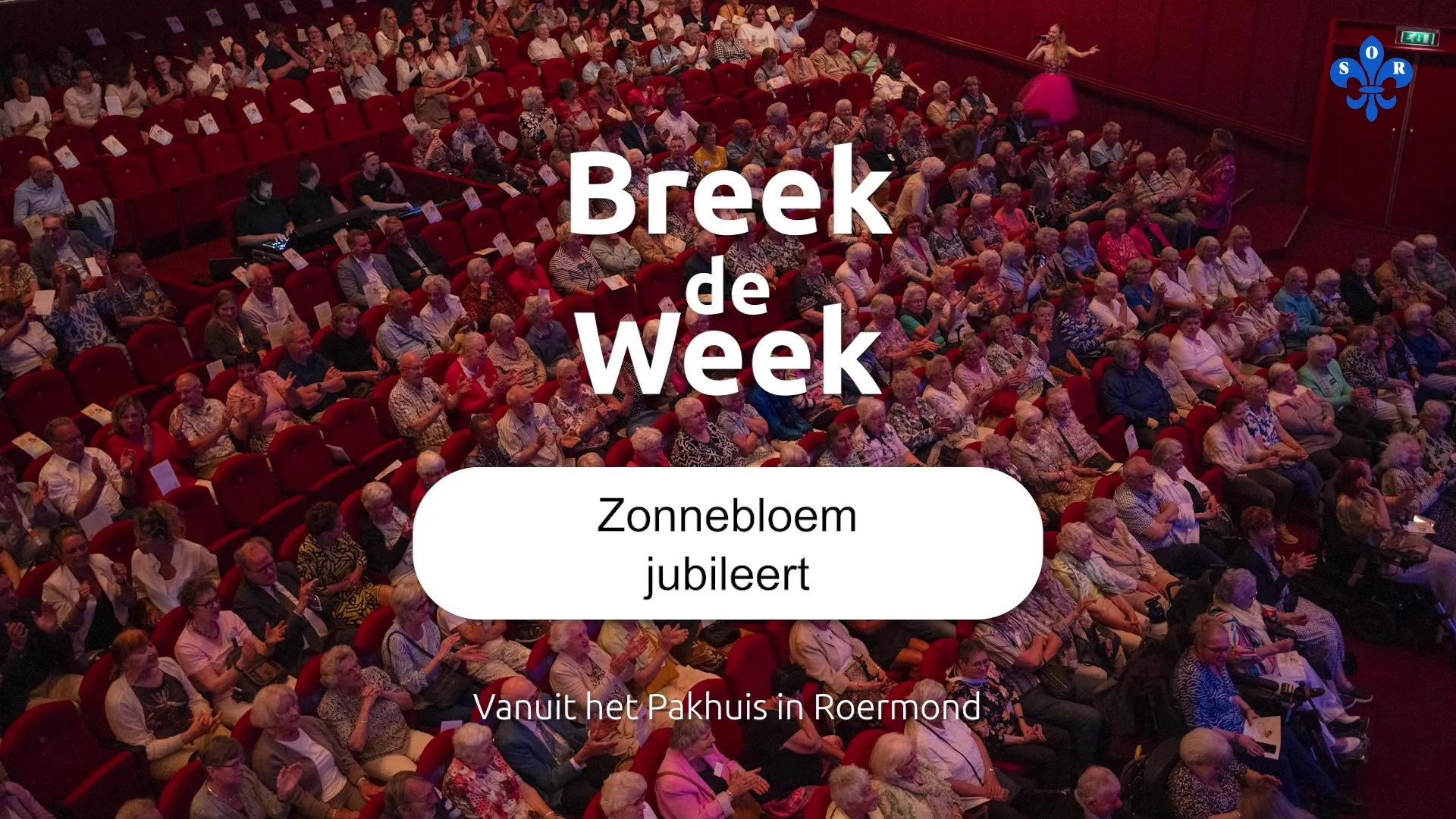 th meer voor jongeren bij jarige zonnebloem breek de week
