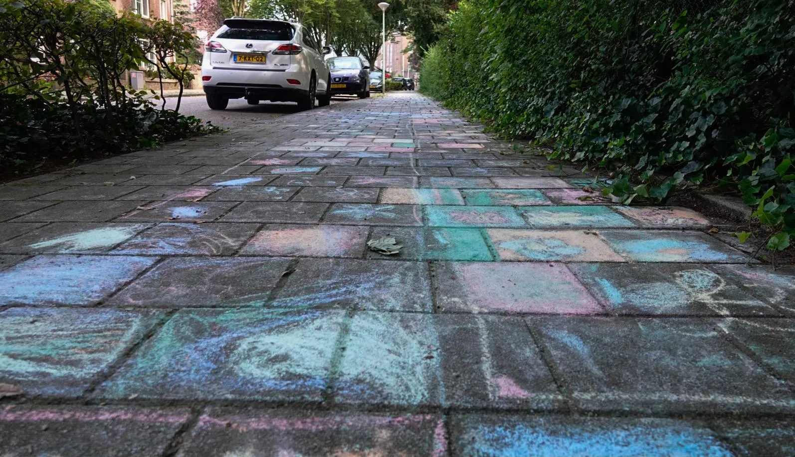 whatsapp image 2021 09 09 at 113119