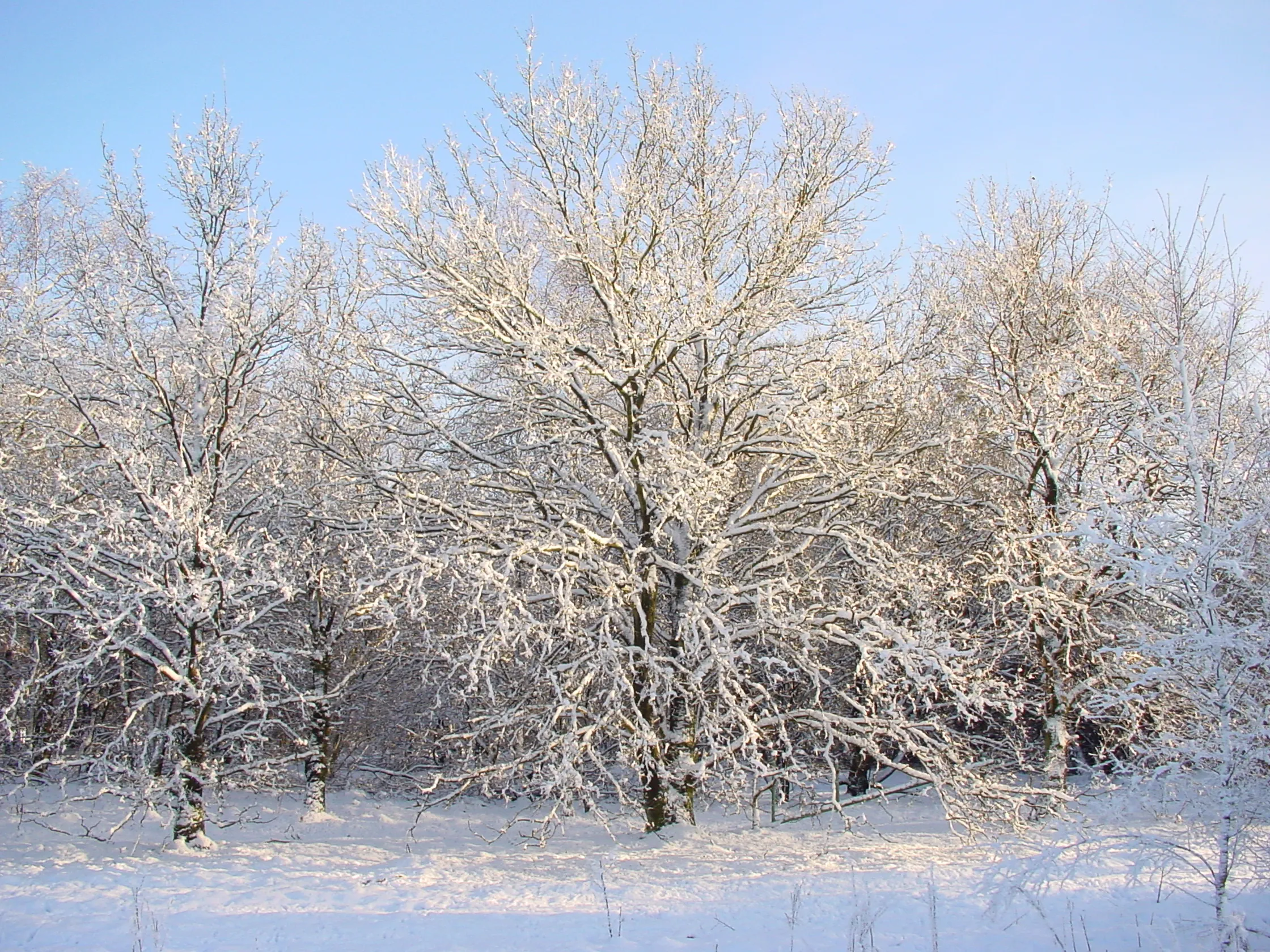 winterwandeling gerrit lenting