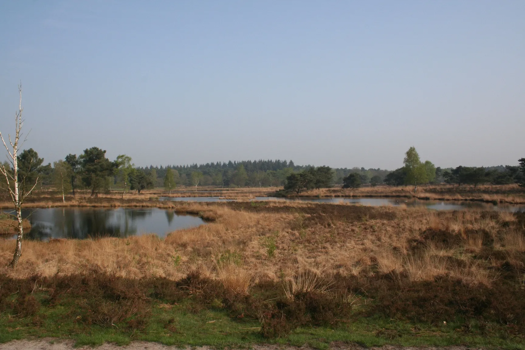 zevenboomsven lia oosterwijk