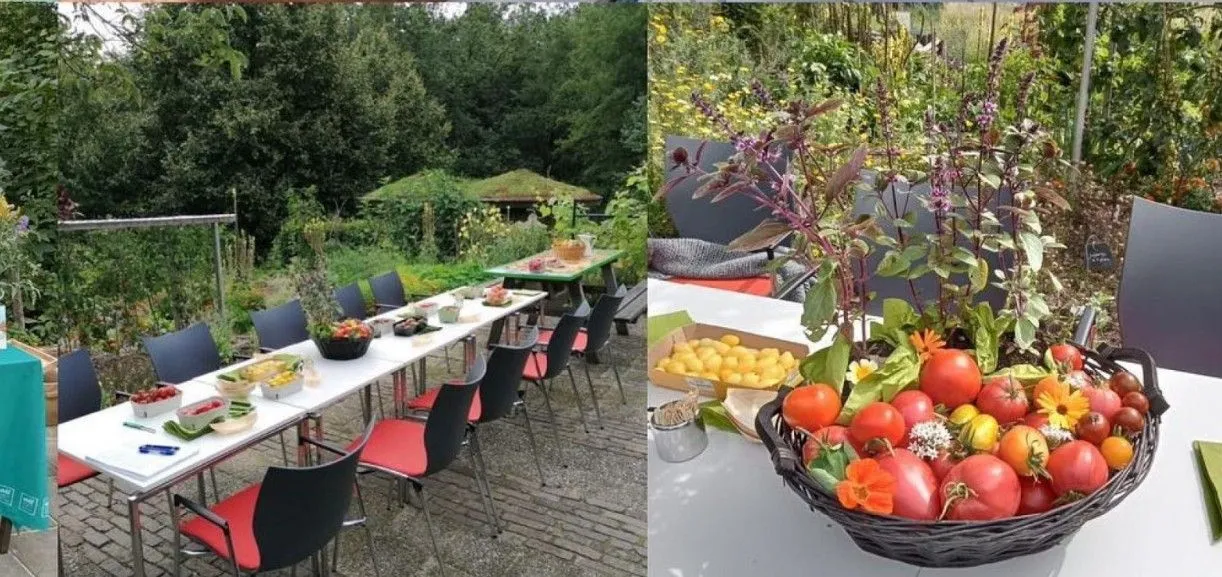 opentuin dag velt leudal