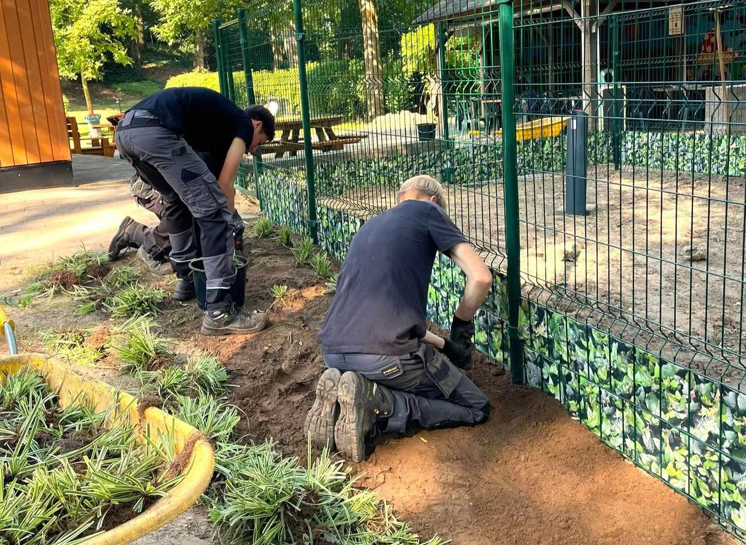 460390215 1251815226098833 6994593835682201917 n 1