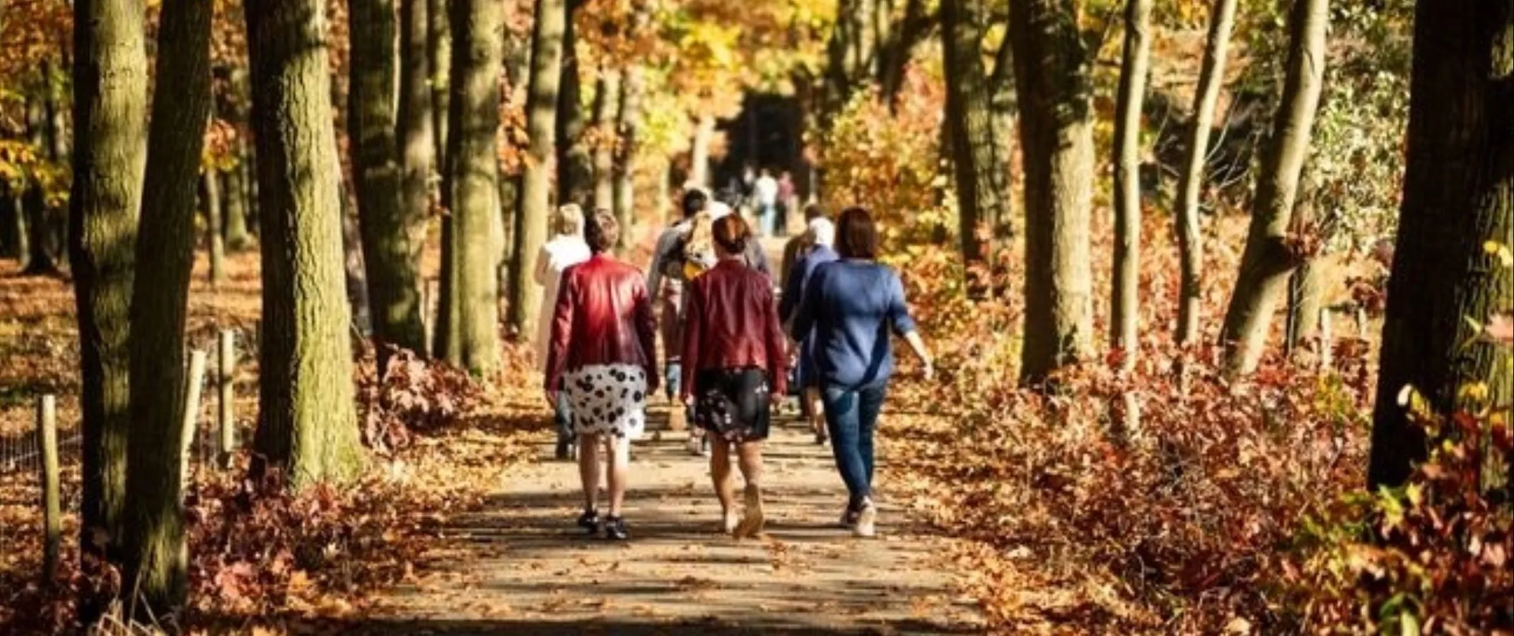 sponsorwandeling stichting wens ambulanceg