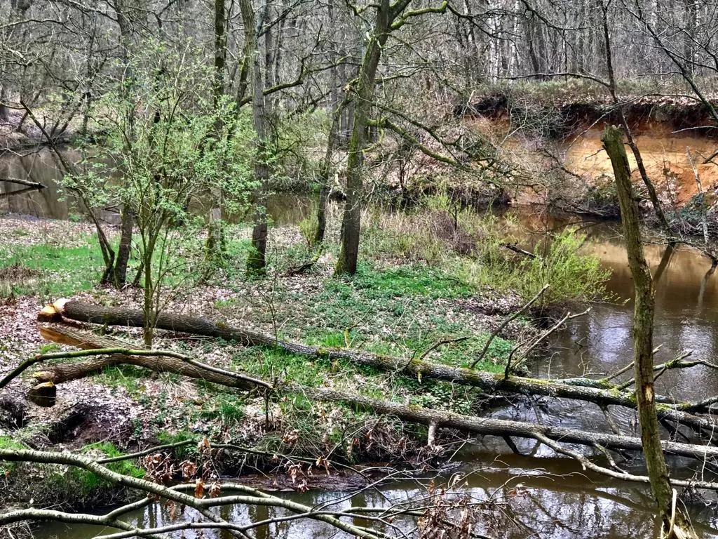 3 stromen wandeling