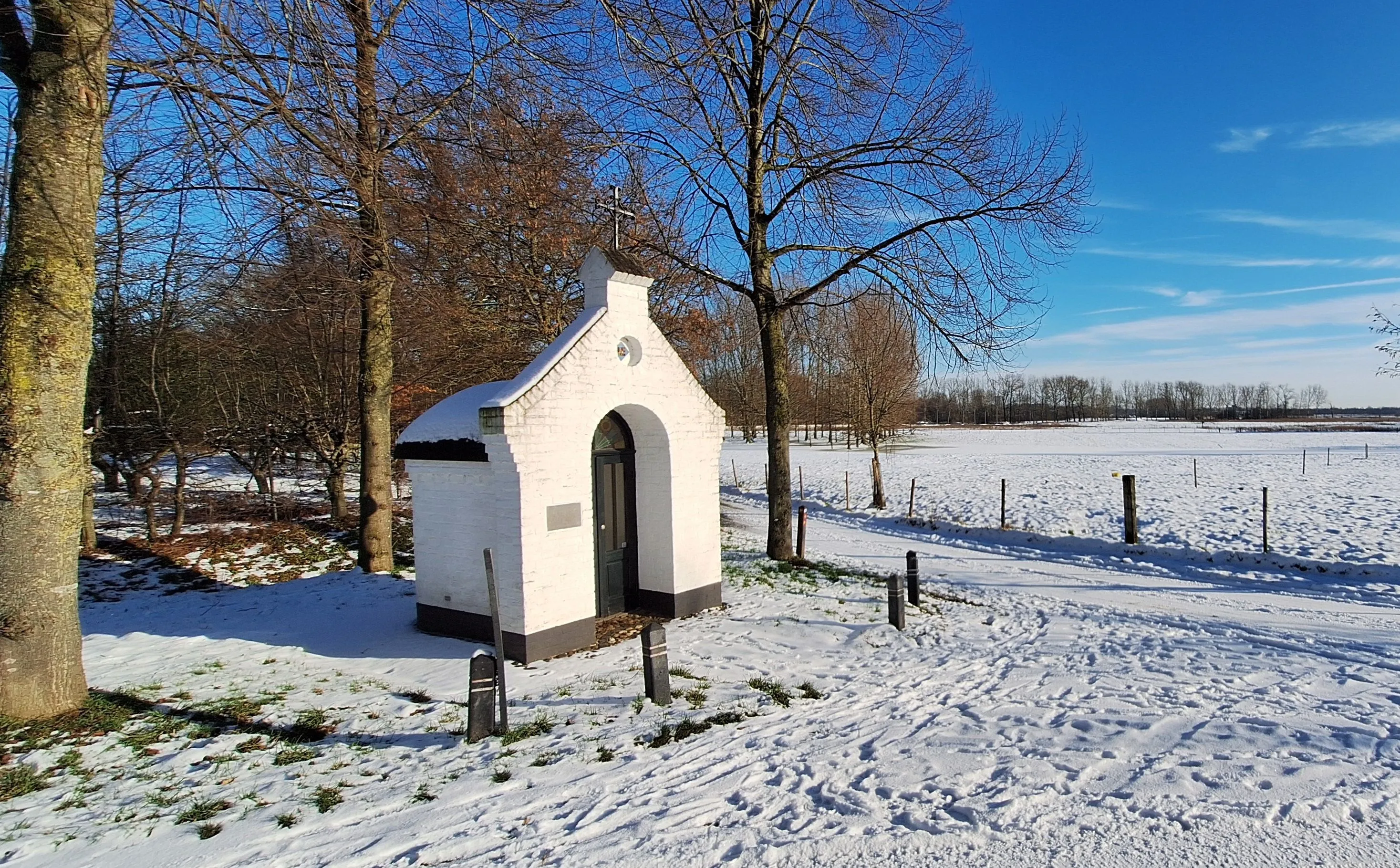 20240118 141922 h fam