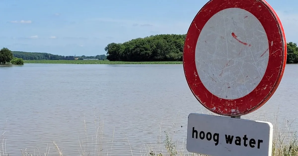 472183974 904294061875527 3342478758304239164 n