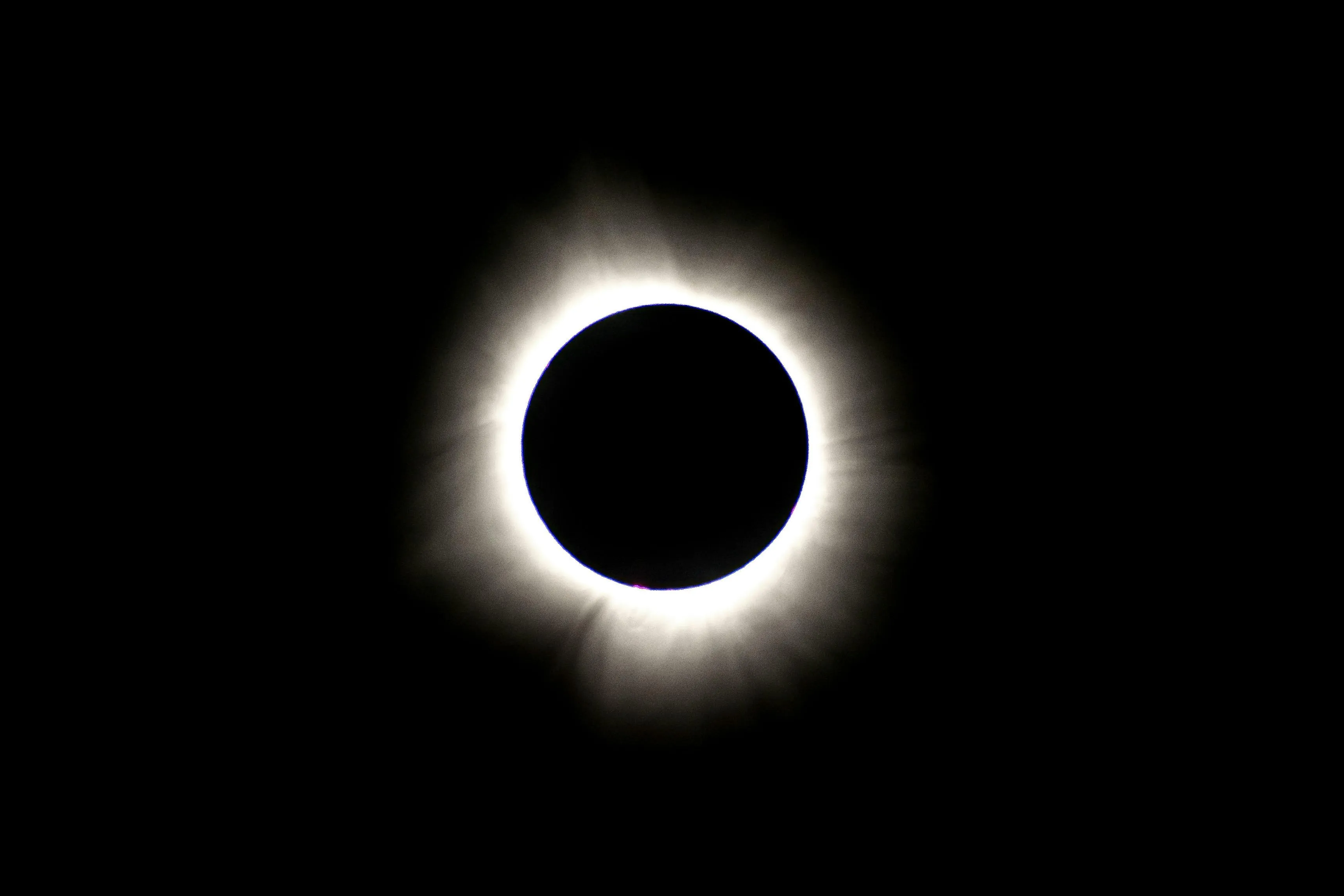 1000071994