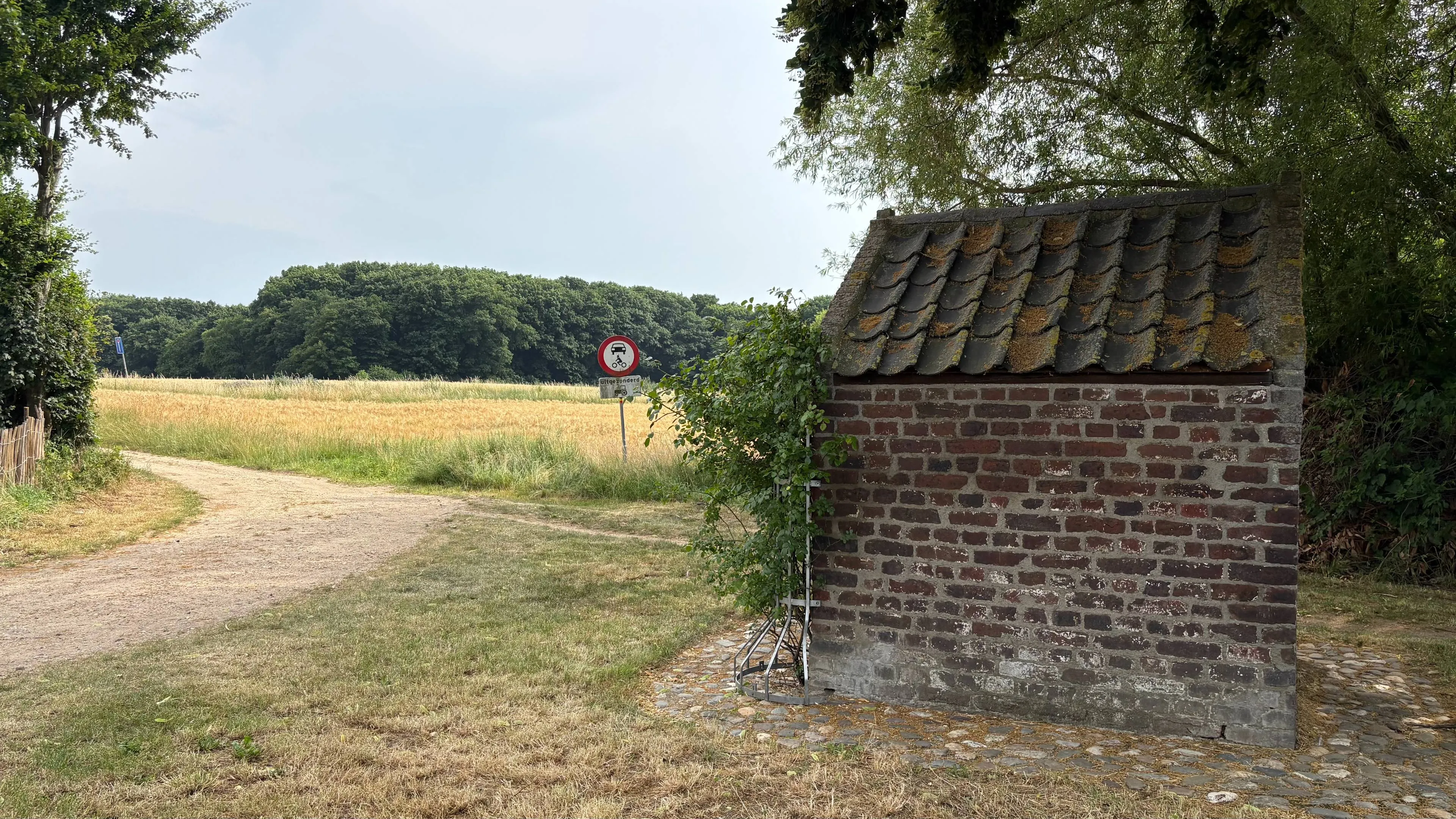 20250803 rijkelse bemden