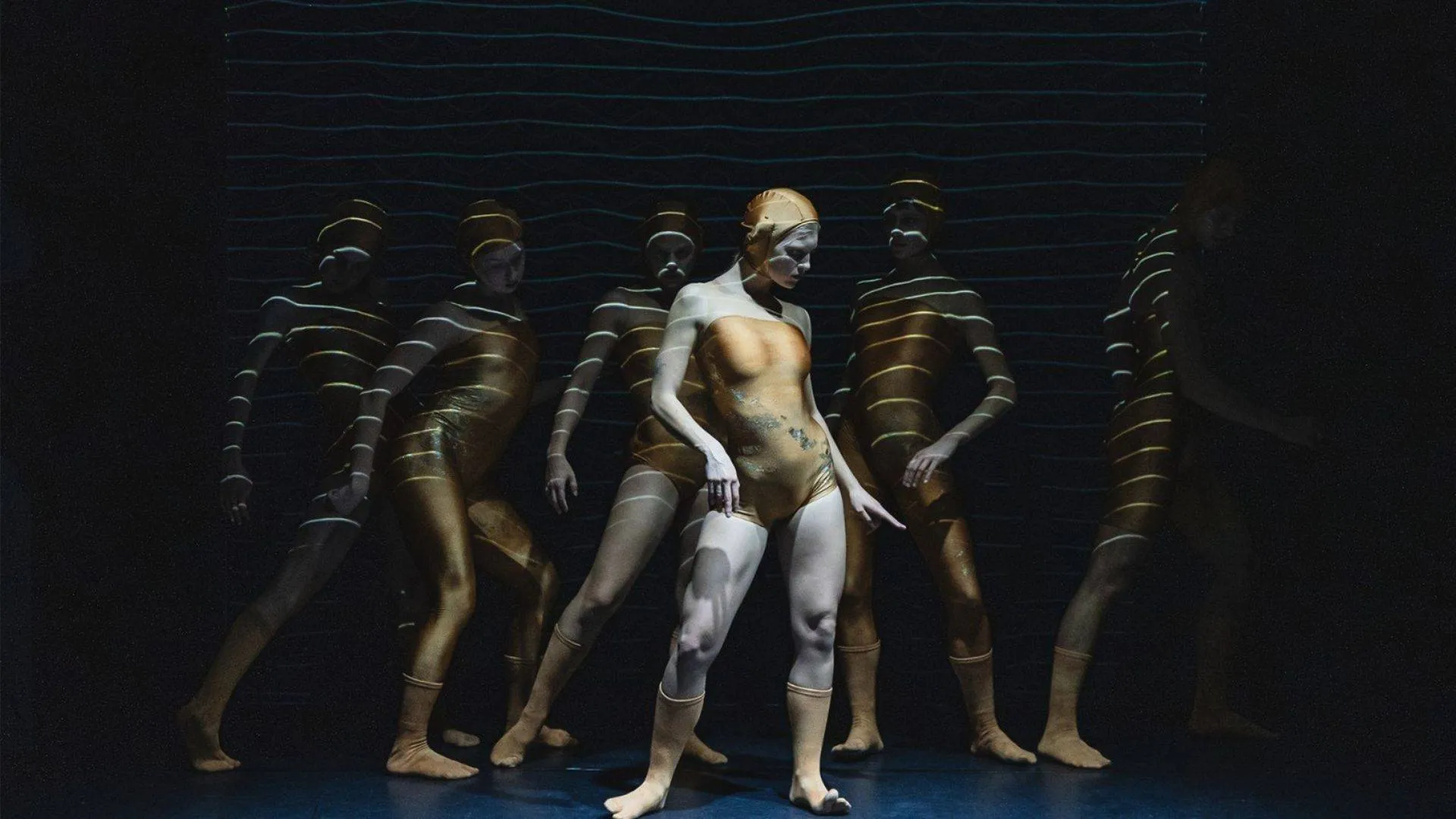 IID-Company-Limburg-Festival