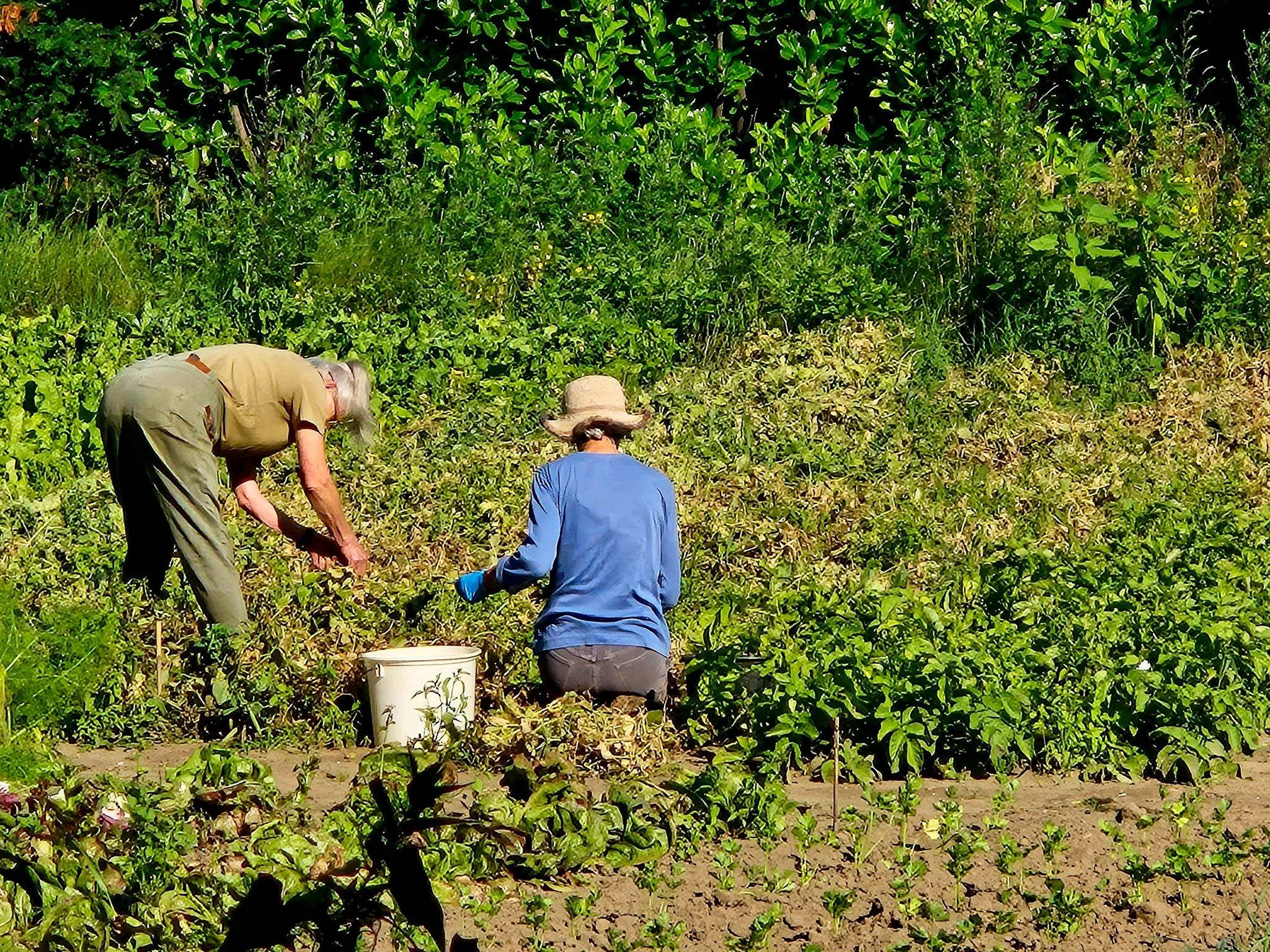 515182815_1035200338817306_256646229087457995_n