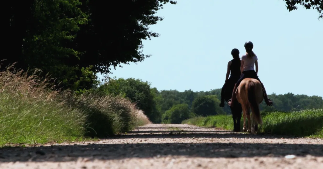 paardenkracht L1 recreatief rijden uitzending 31-8 en 14-9 ©PaardrijdenLimburg