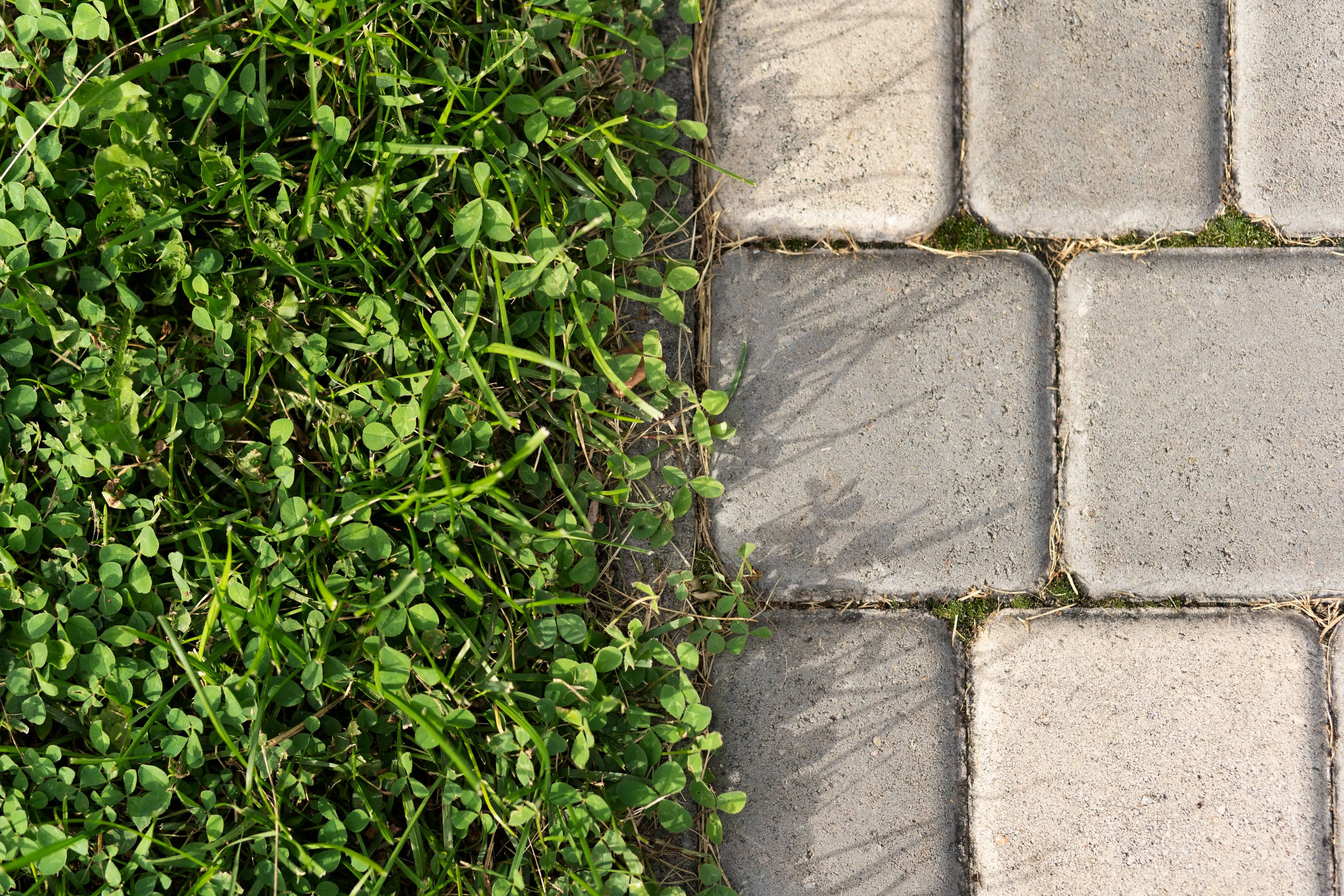 contrasting-outdoor-textures