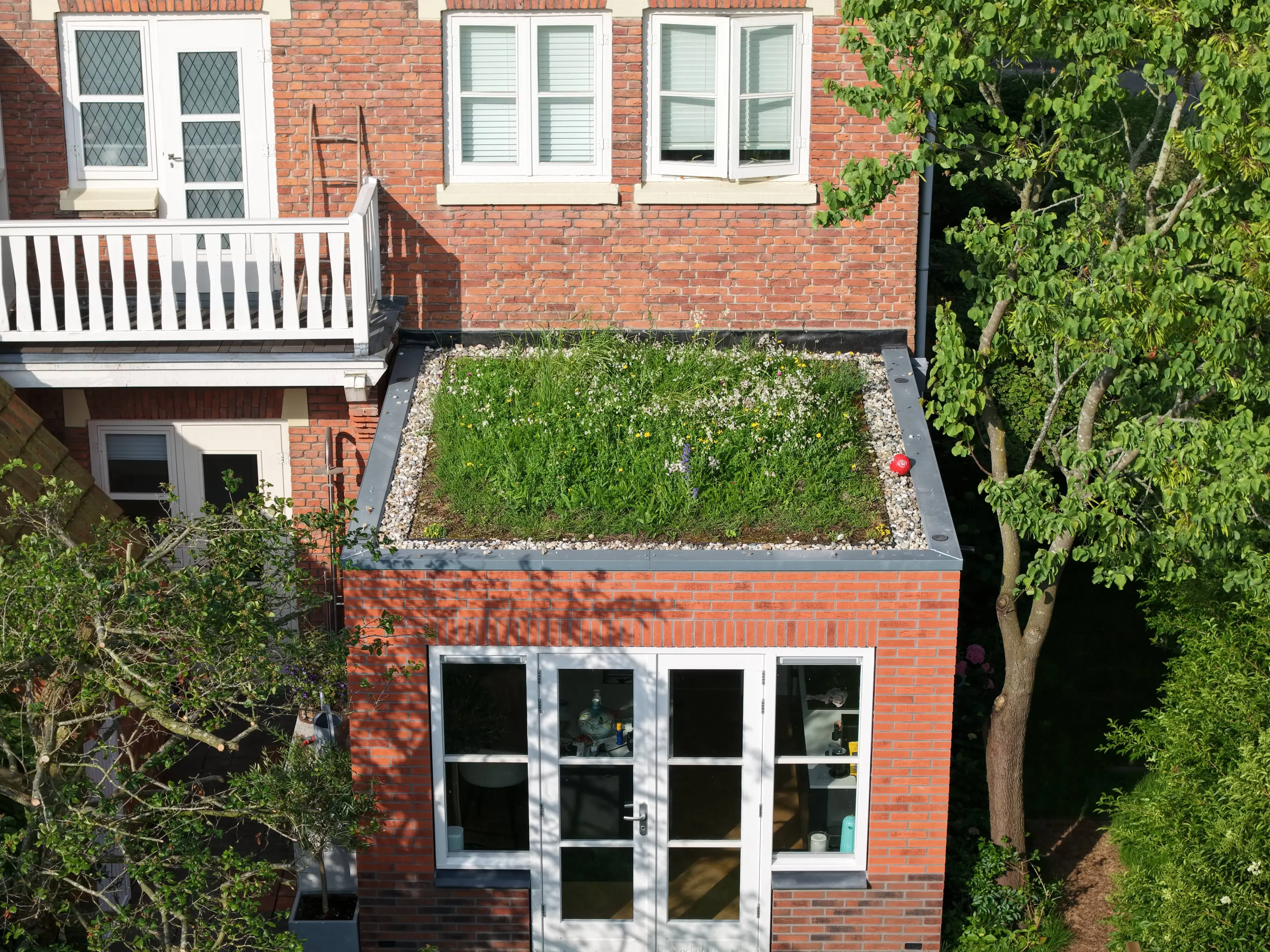 huis met bloemenweide dak