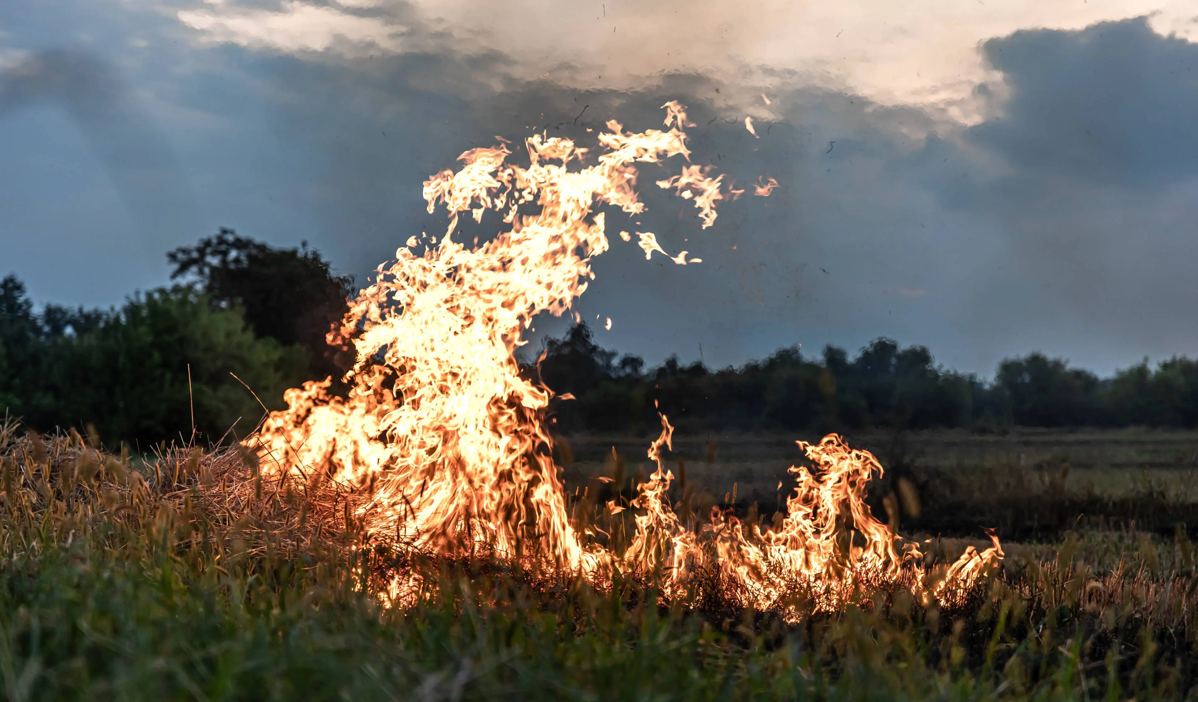 fire-steppe-grass-is-burning-destroying-everything-its-path