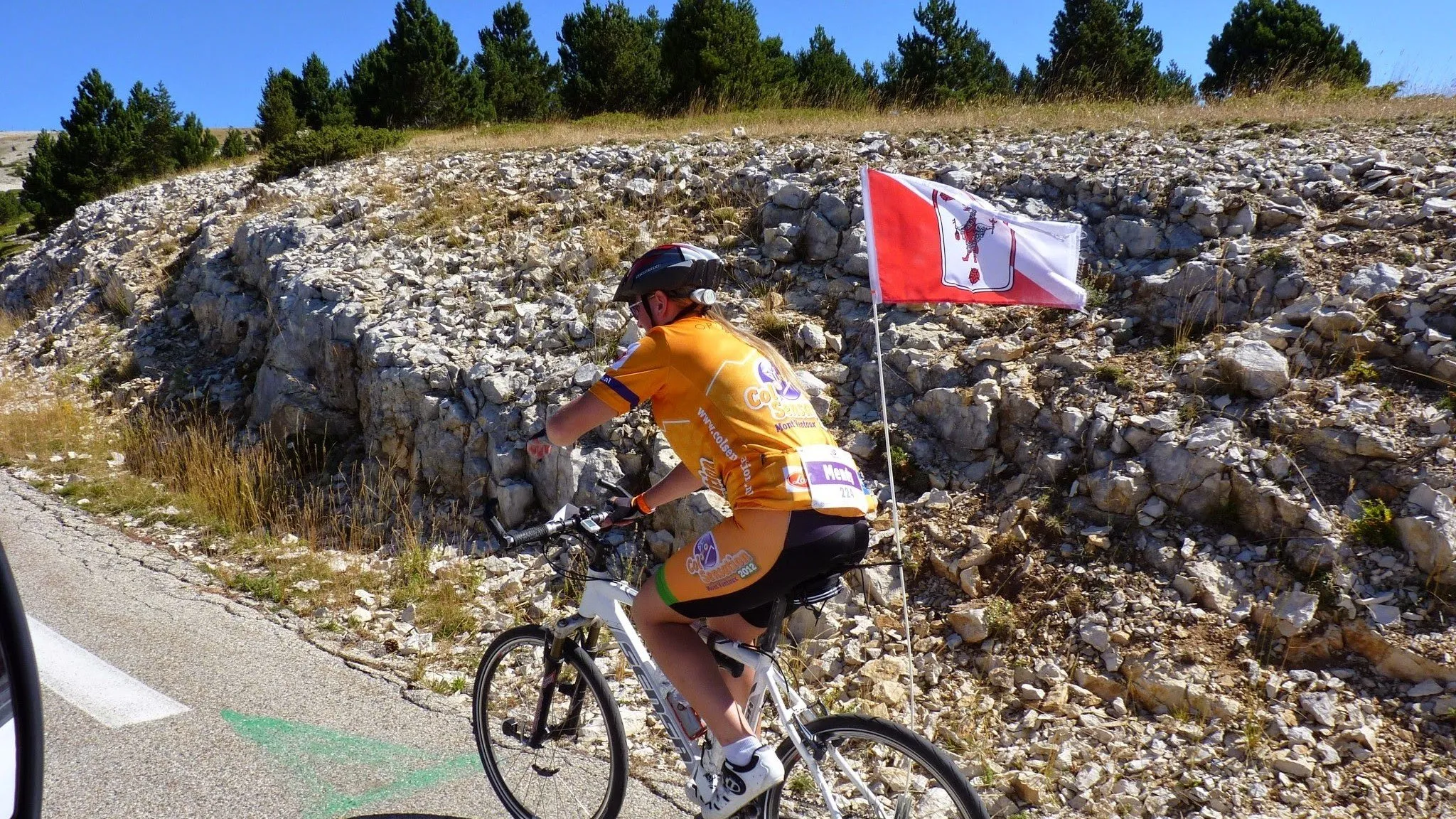 150420 colsensation 2014 sandra van beers e1429658772901