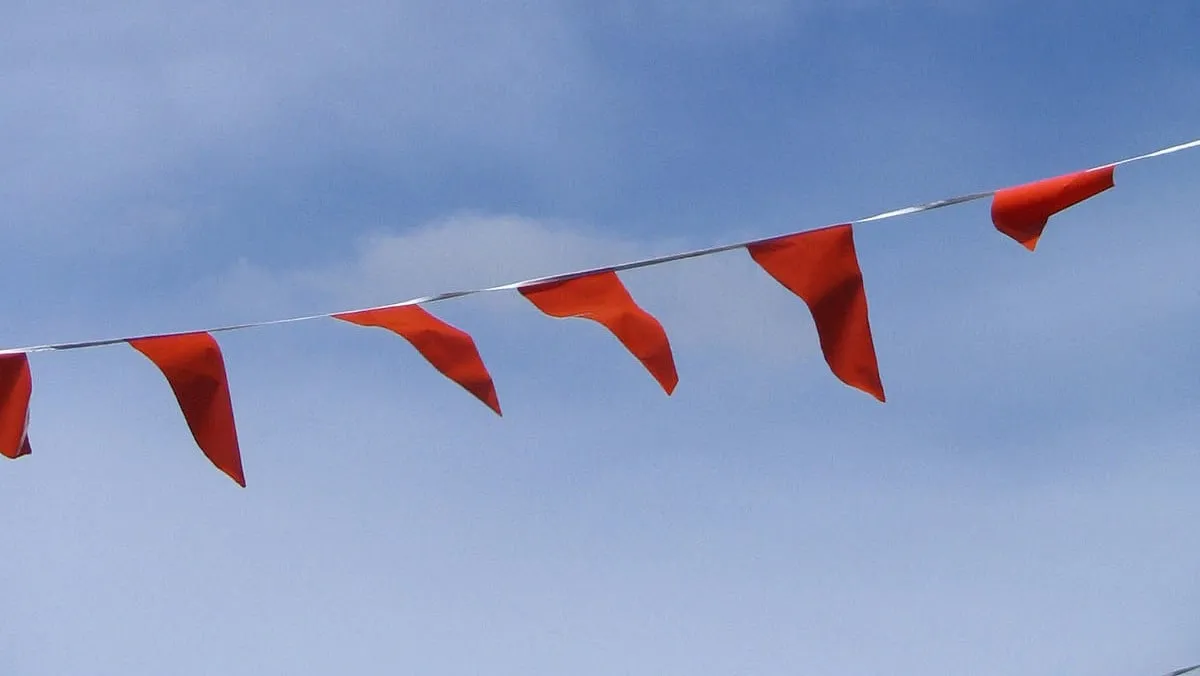 150424 lucht met oranje vlaggetjes frenkieb by 20 e1429881395922