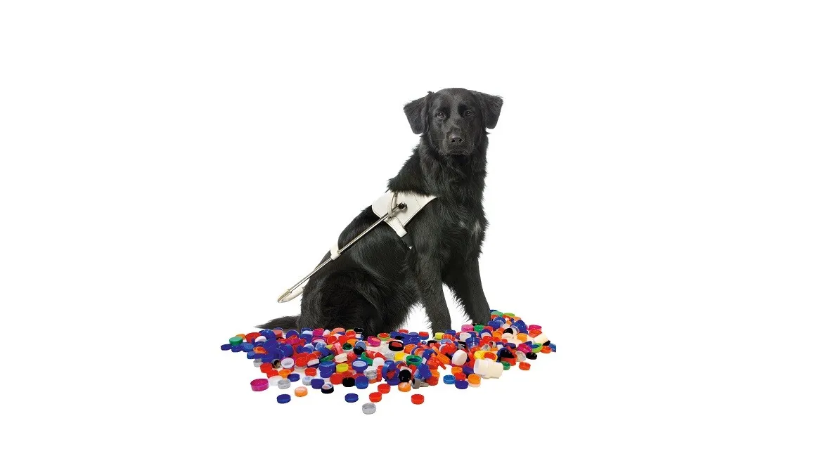 150429 kngf hond met doppen 16 91 e1430321713890