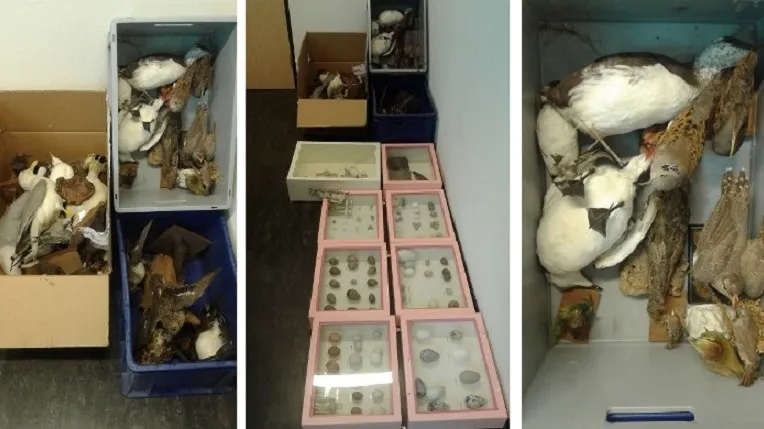 150722 partij opgezette dieren politienl e1437575078683