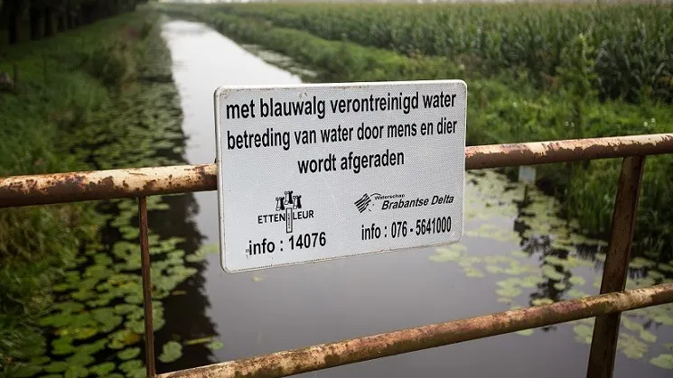 150813 blauwalgenwaarschuwing waterschap brabantse delta maikel samuels e1439476318359