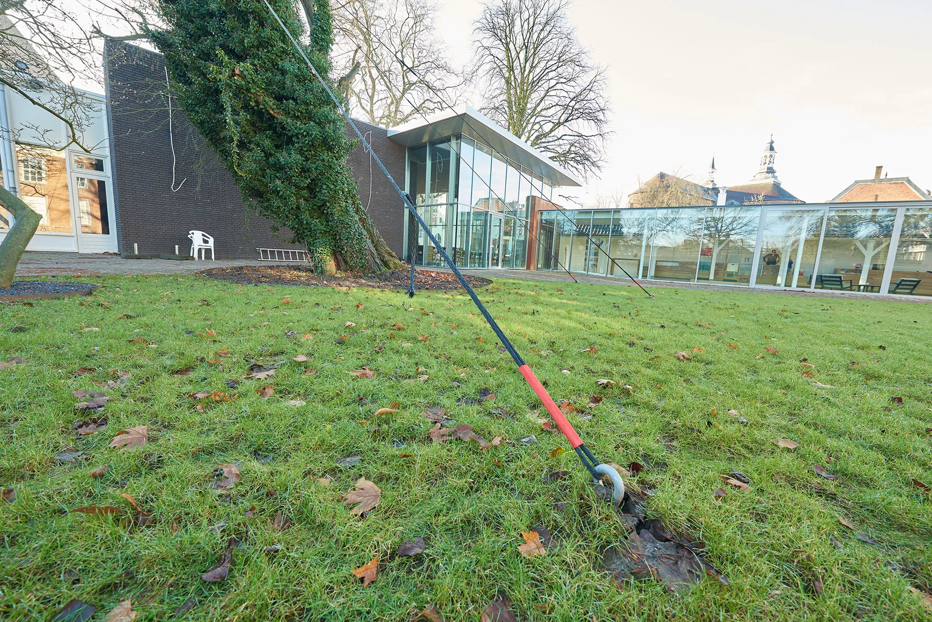 20170116 boom tuin tongerlohuys