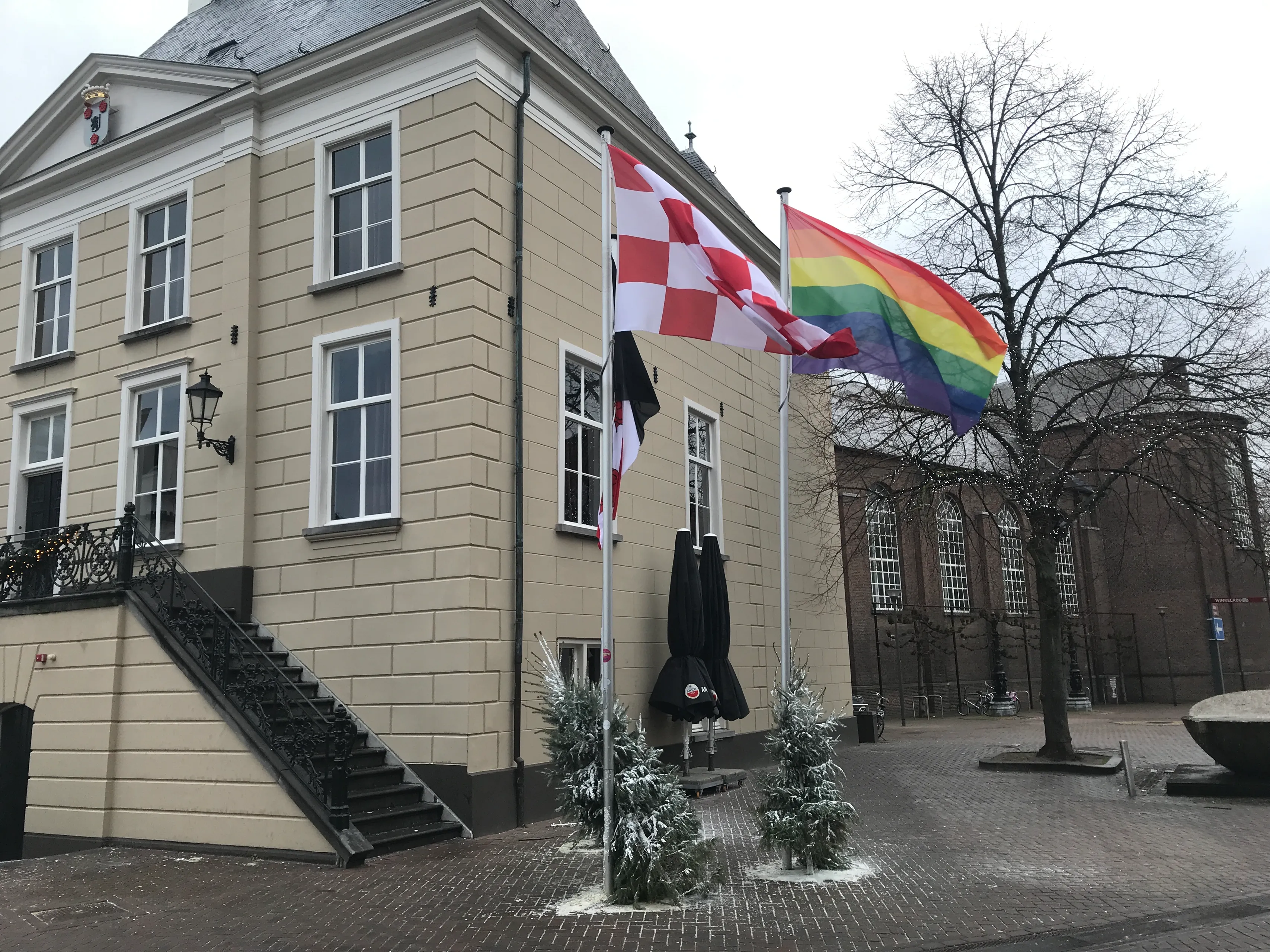 20190108 regenboogvlag