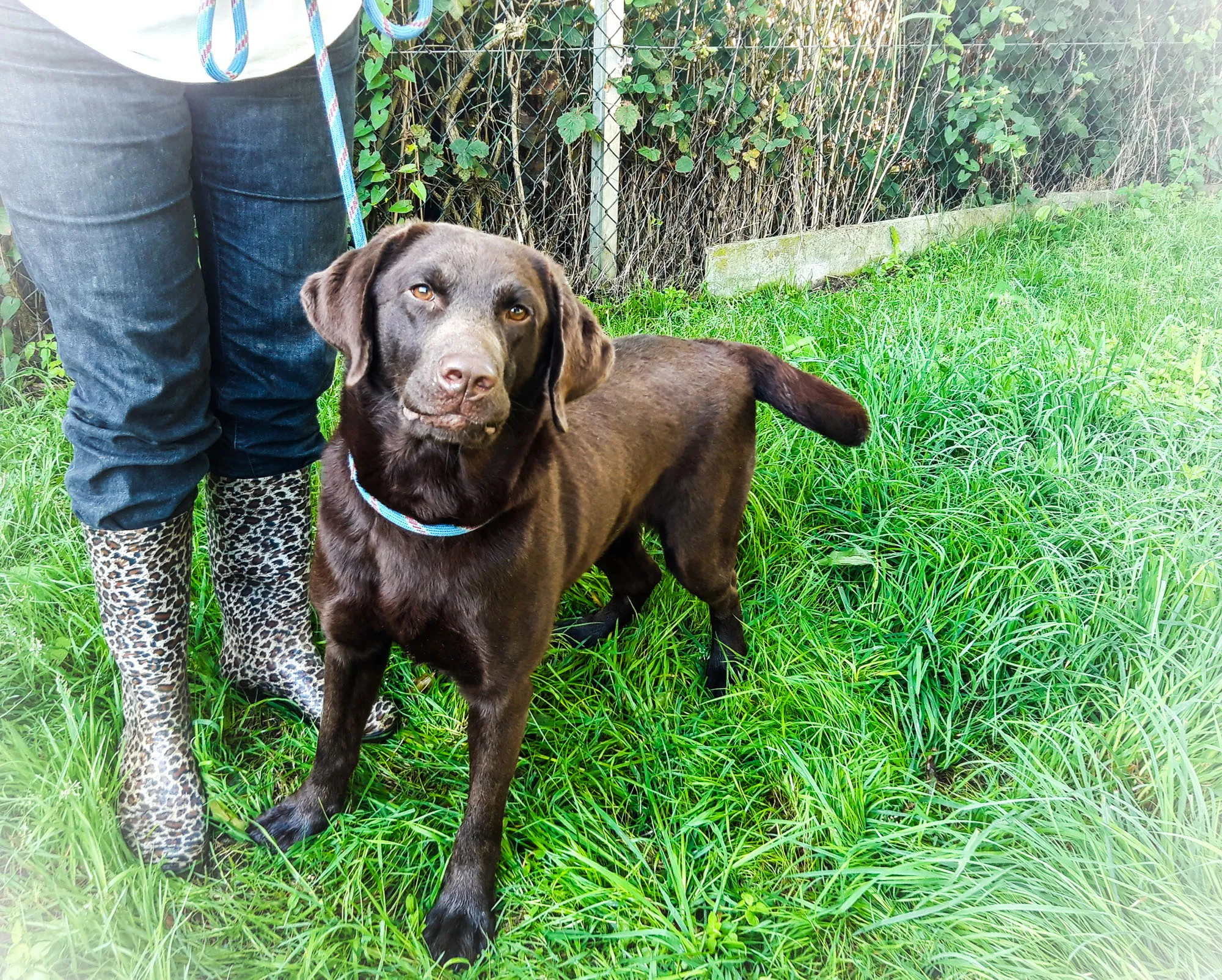 20230810 112327 2jpg klein