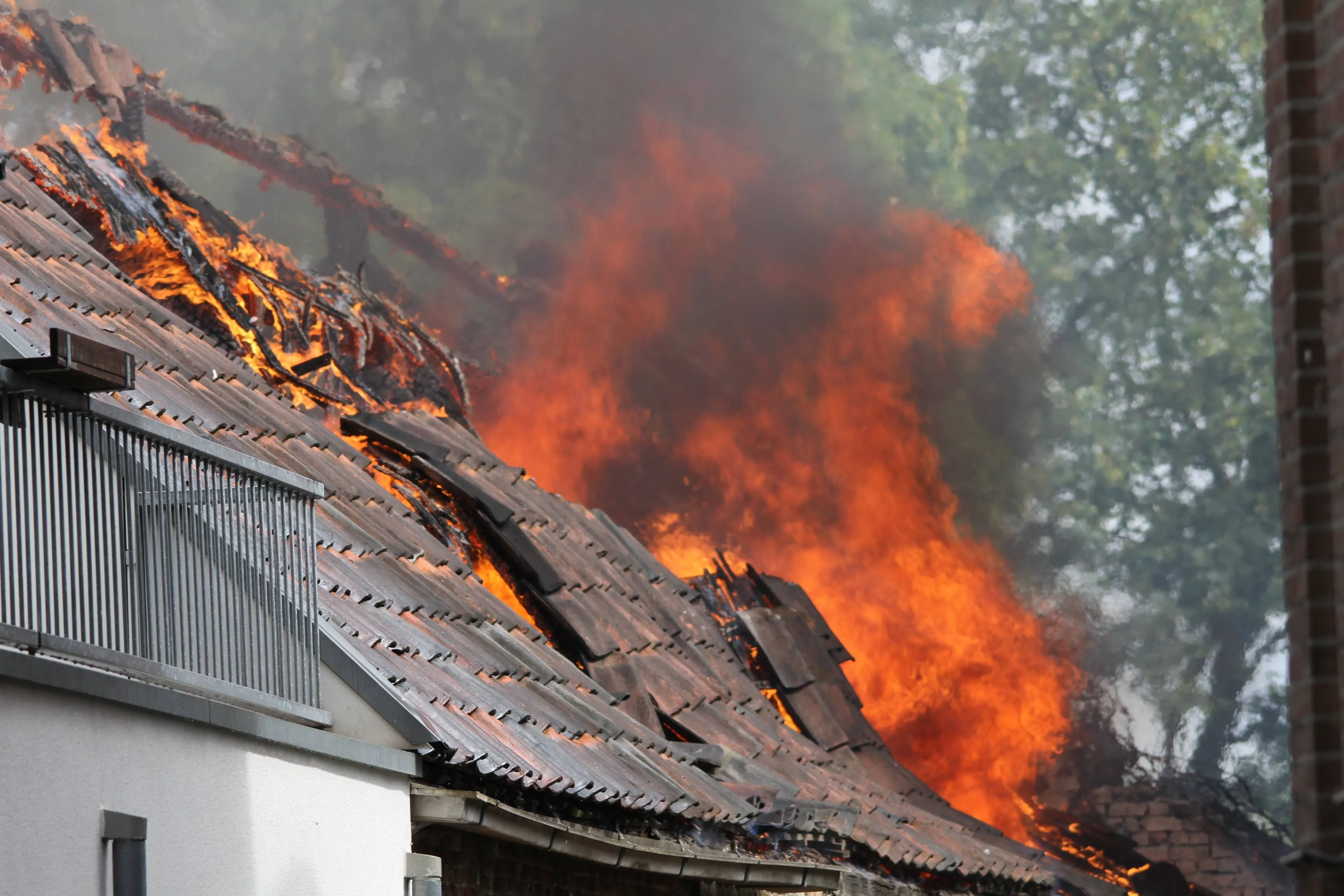 36121379 2140264709349326 5383724733688709120 n