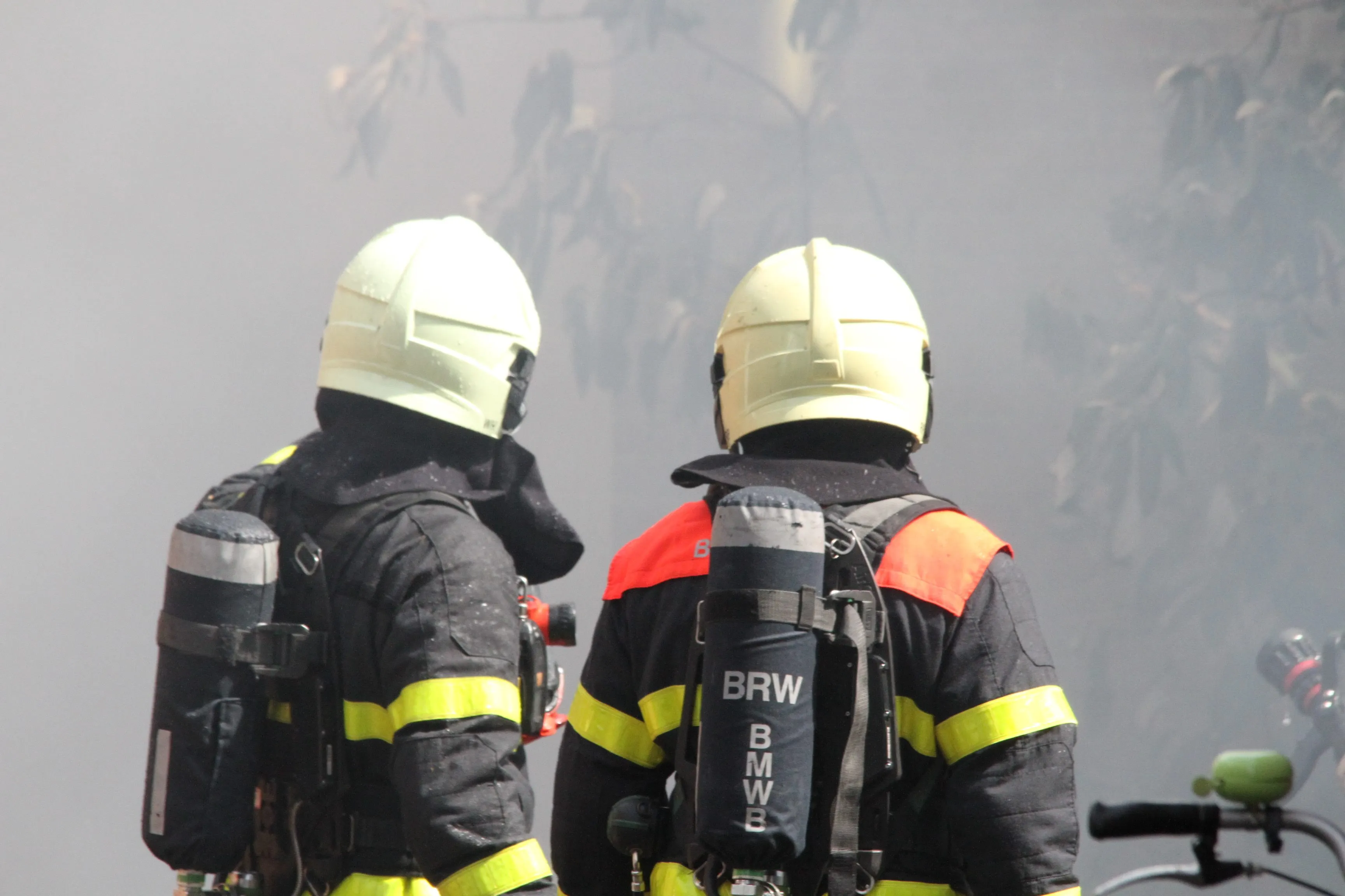 36136969 2140267789349018 645359346355535872 n