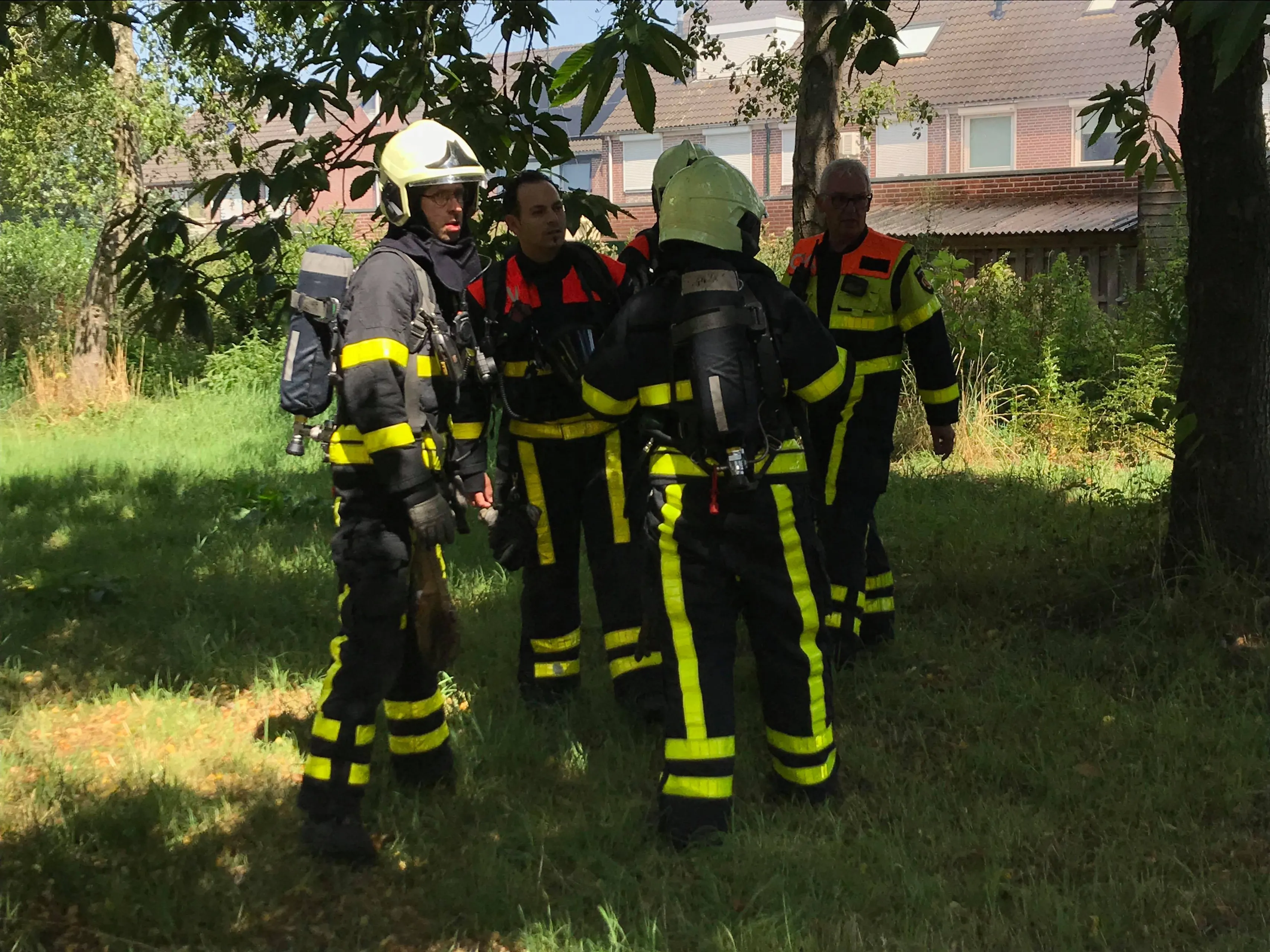 67585708 2339008186338048 6251014081134723072 n