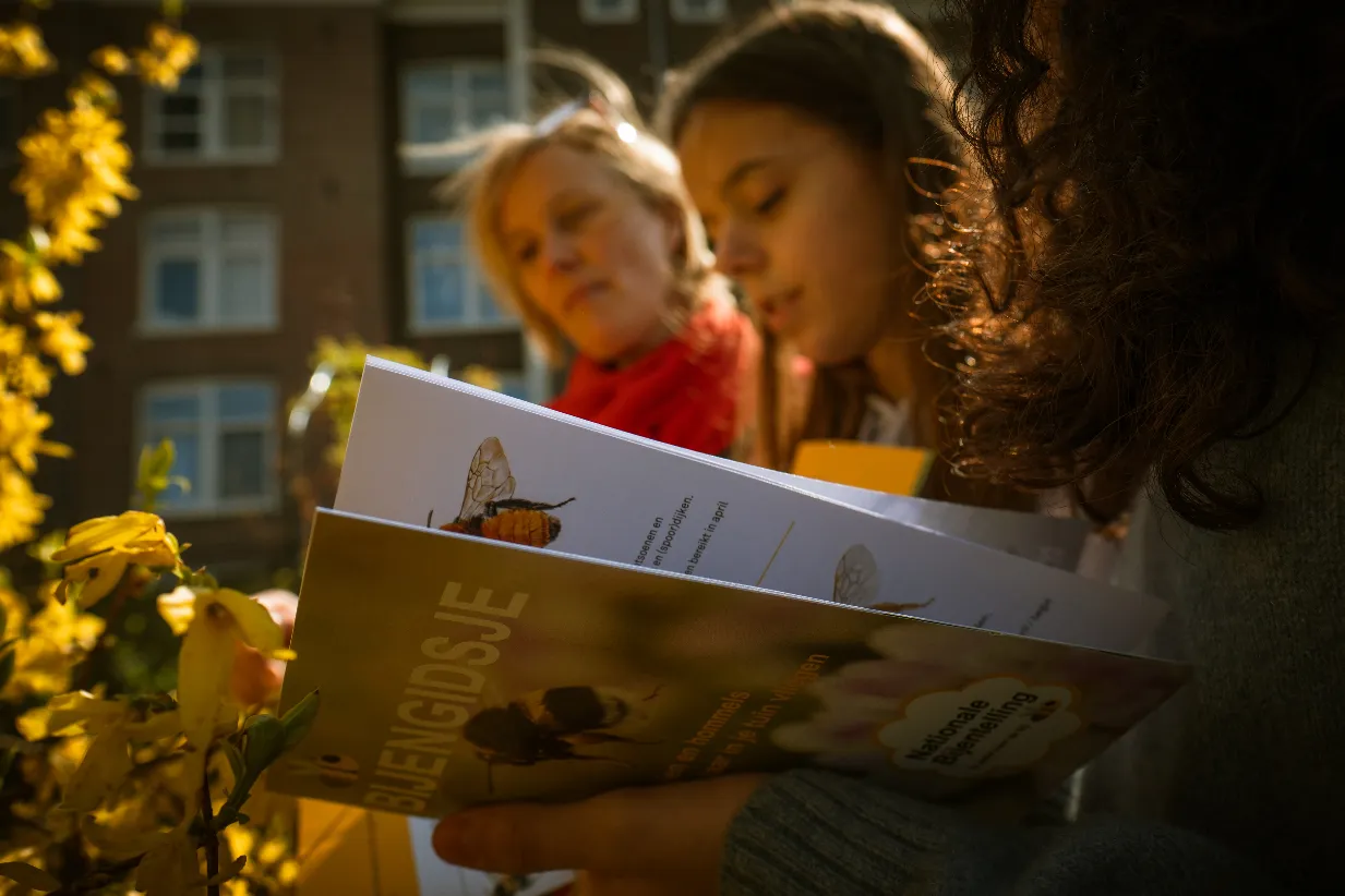 anne kaere fotografie