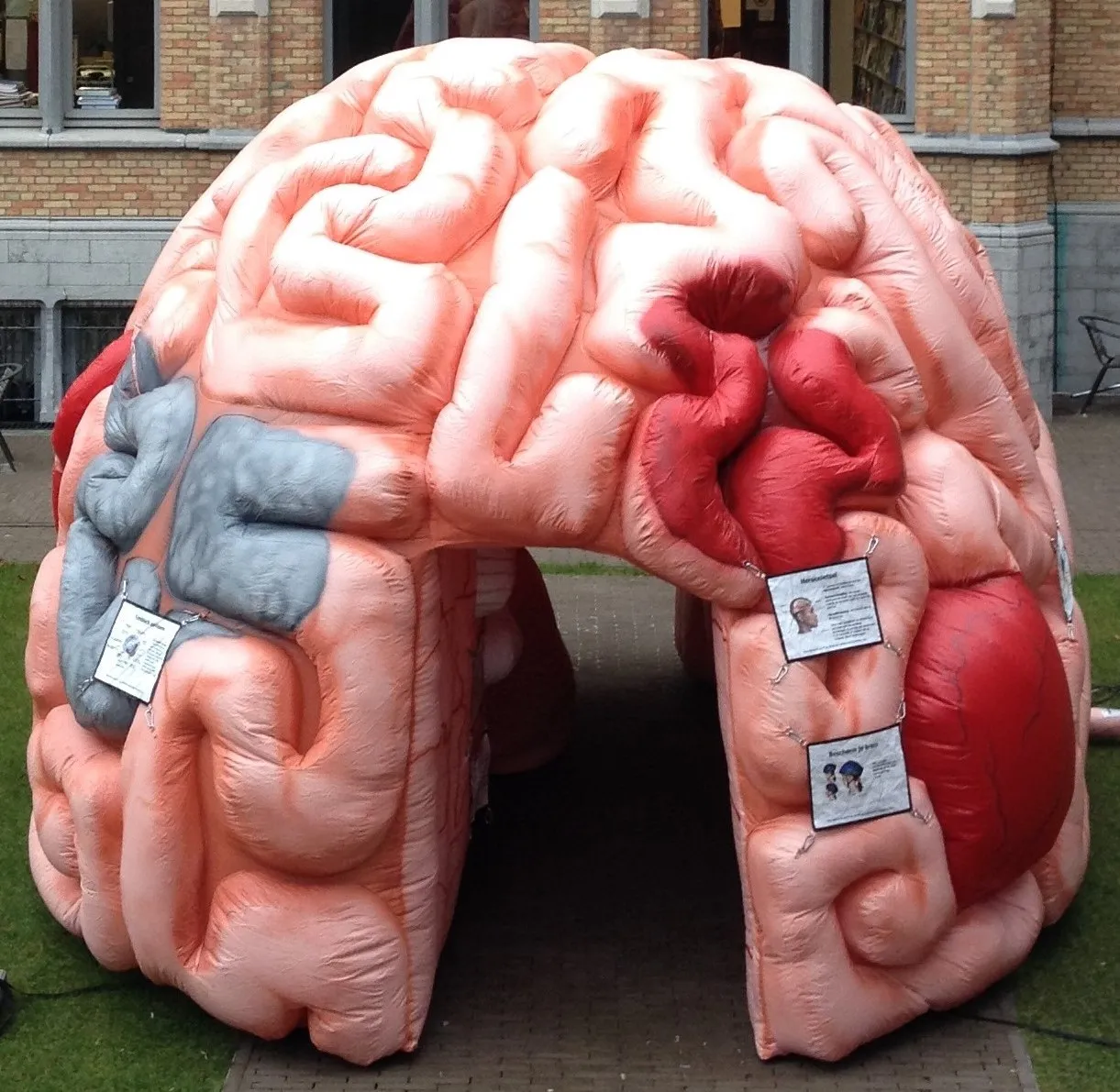 beeld megabrein in de bibliotheek in roosendaal