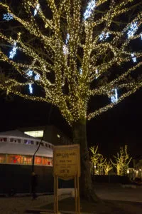 cdnnieuwsnlmediasites9220161217011228imgl5188 200x300 3f8ab4b22aba7c77cbb9e1031fb07c7d1cc090a2