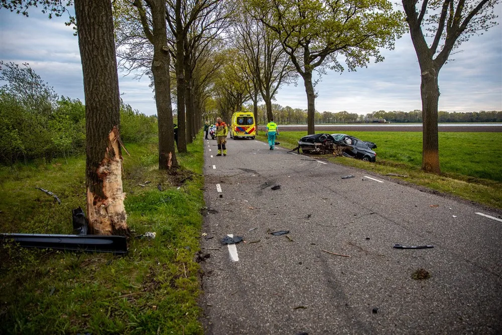 download scaled 1000x1000 44913