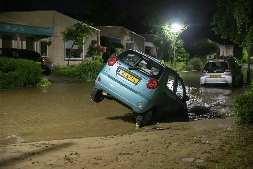 download scaled 1000x1000 49255