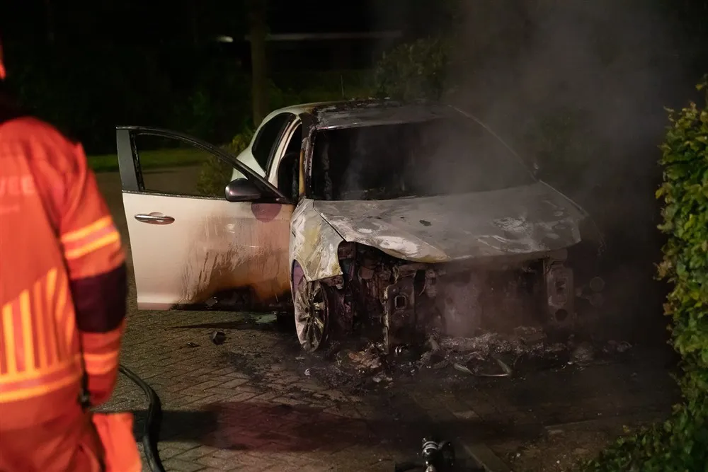 download scaled 1000x1000 60713