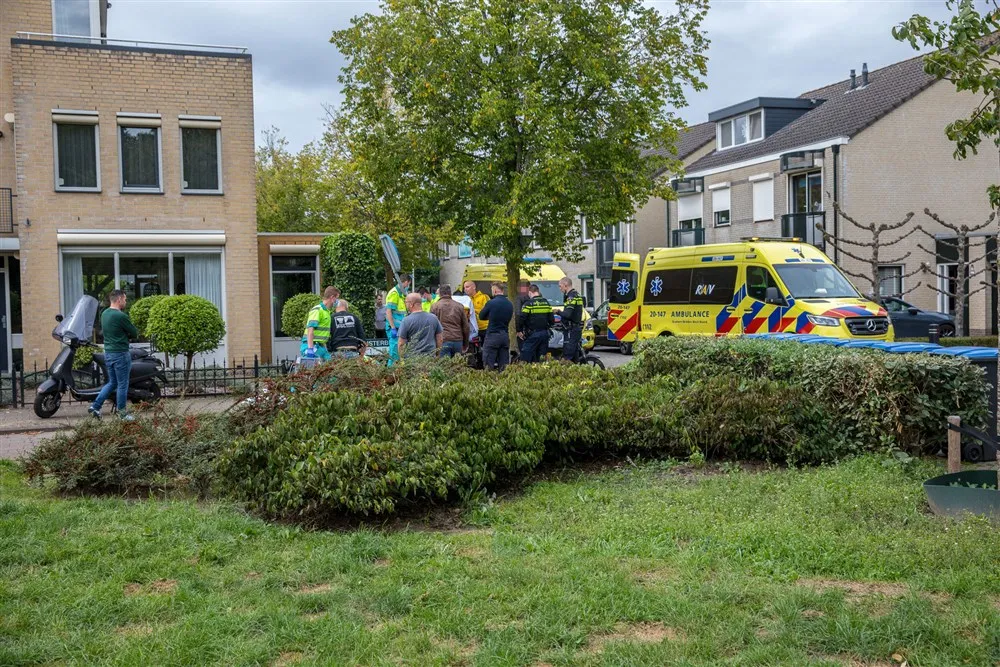 download scaled 1000x1000 61491